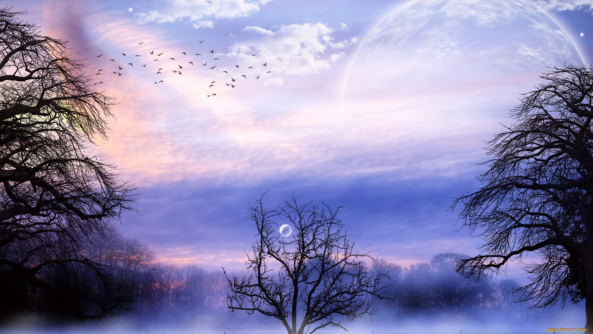 3д, графика, atmosphere, mood, атмосфера, настроения, планета, лес, туман, облака, птицы