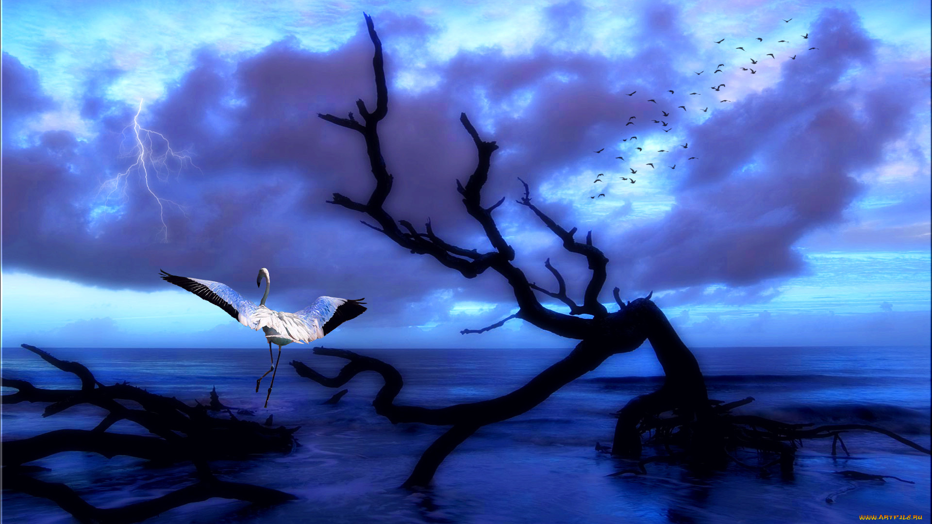 3д, графика, nature, landscape, природа, океан, дерево, птицы, фламинго, тучи, молния