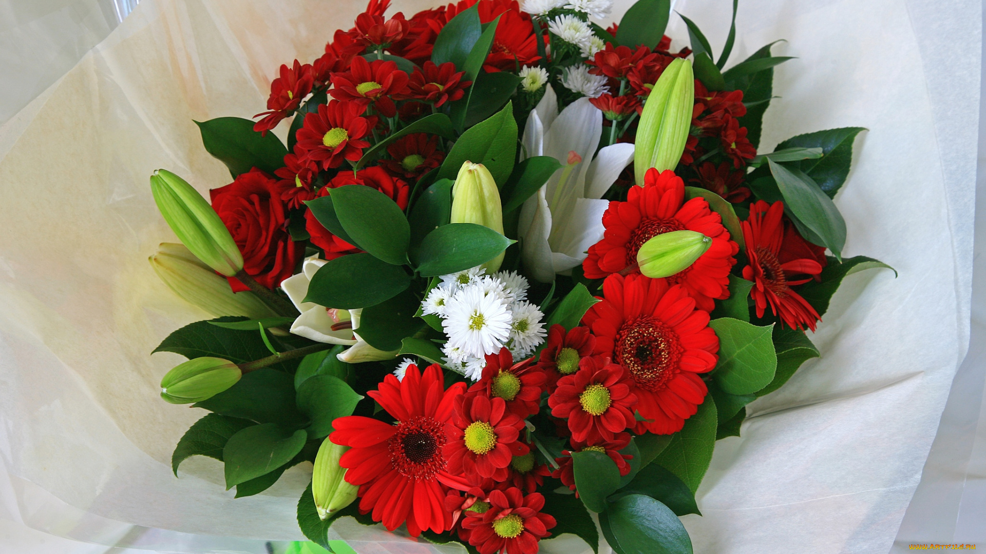 цветы, букеты, композиции, лилии, хризантемы, герберы, розы