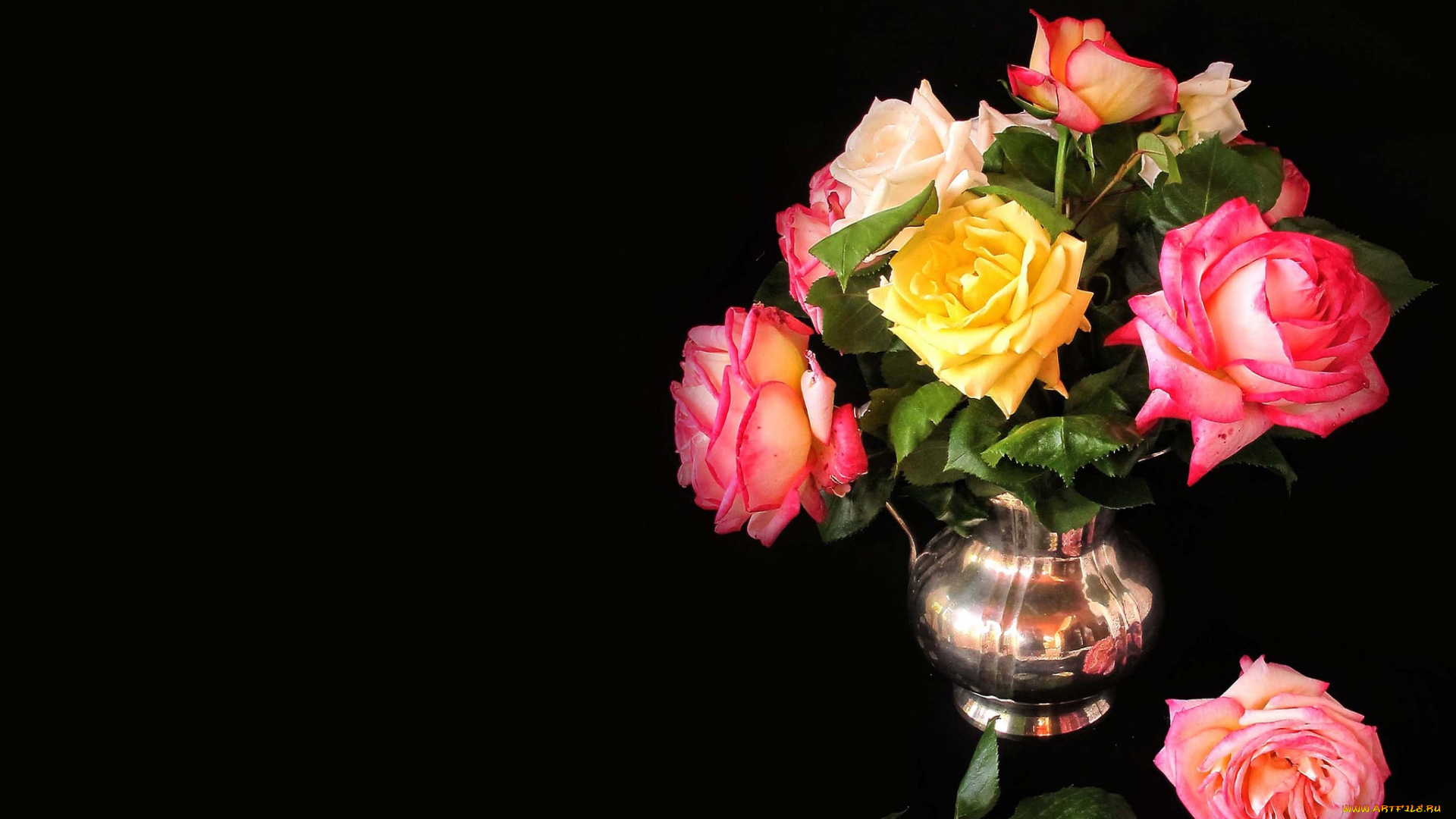 цветы, розы, букет