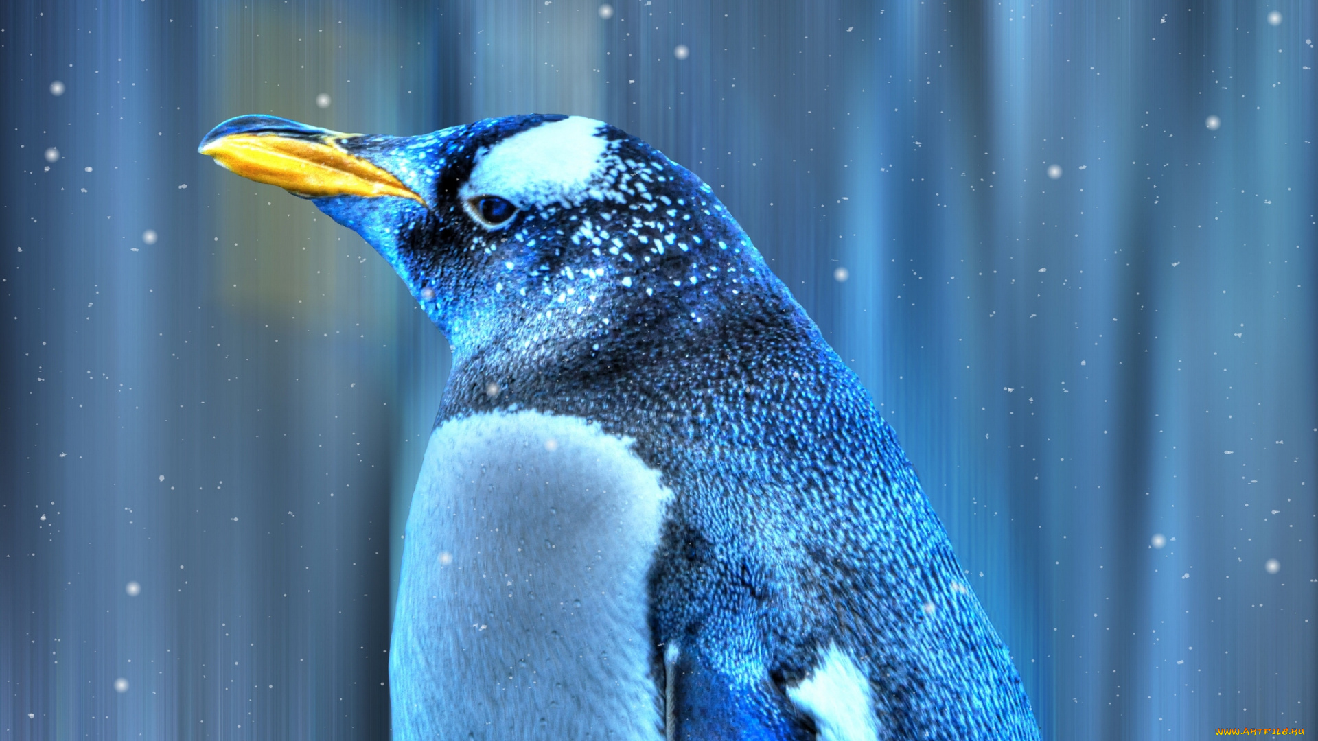 животные, пингвины, снег, птица