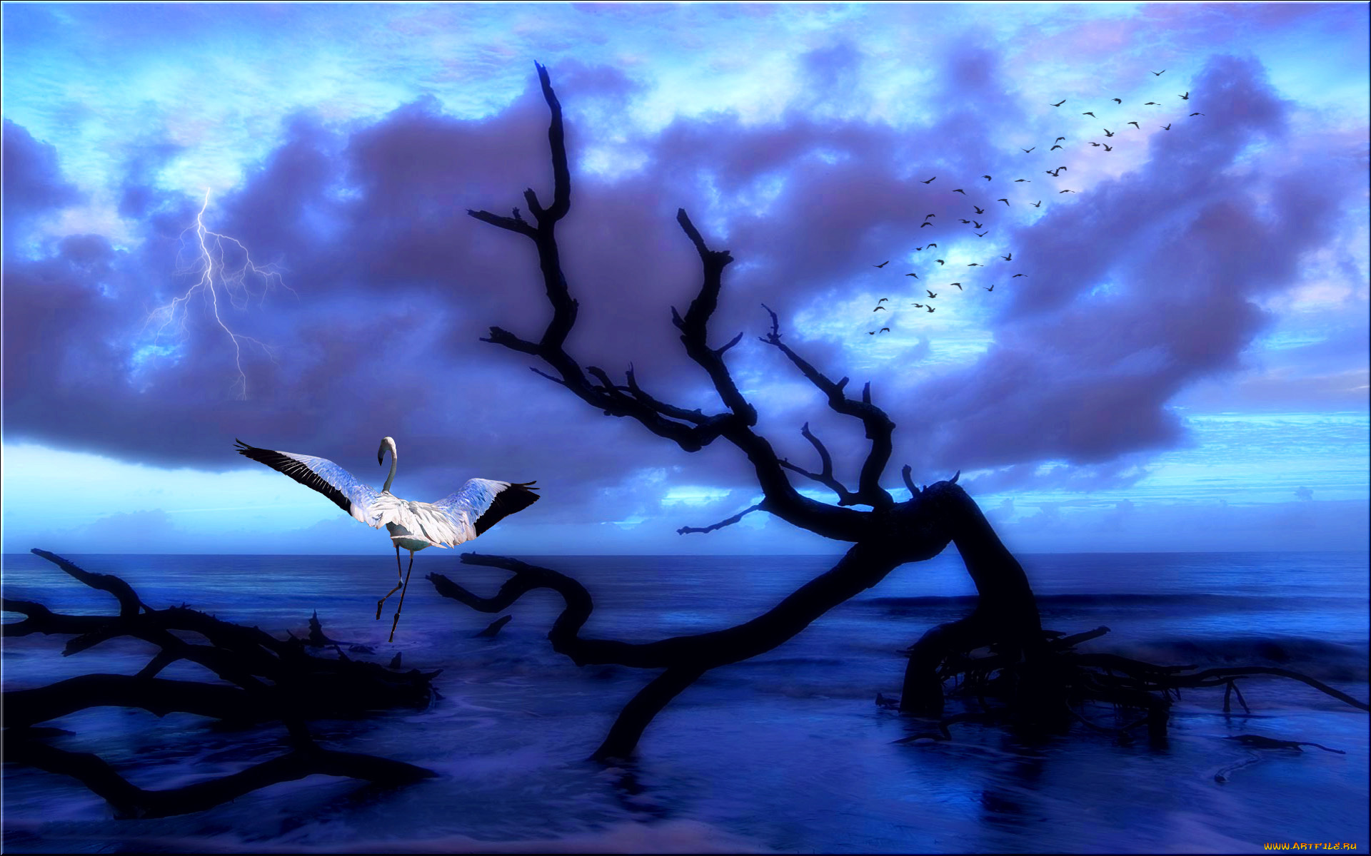 3д, графика, nature, landscape, природа, океан, дерево, птицы, фламинго, тучи, молния