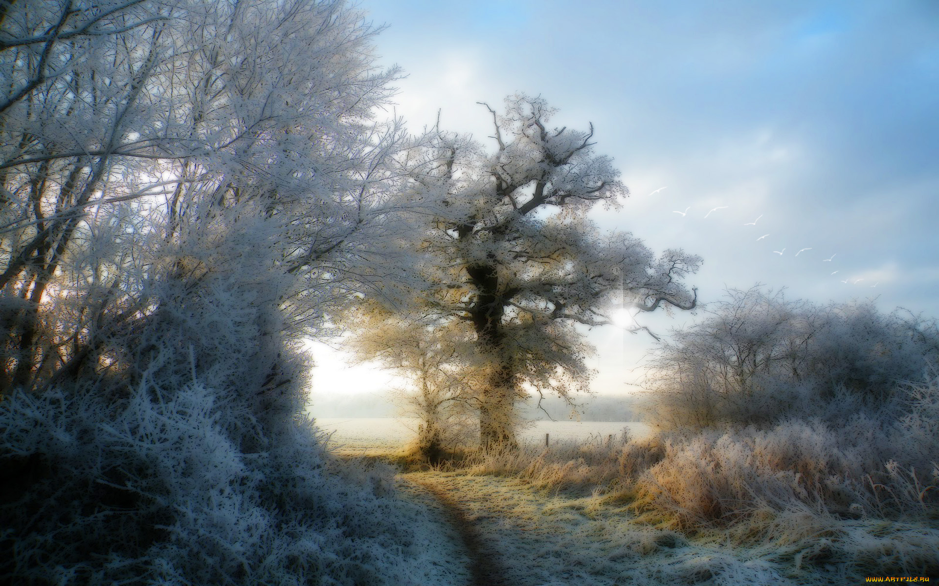 разное, компьютерный, дизайн, иней, деревья, трава, дорога