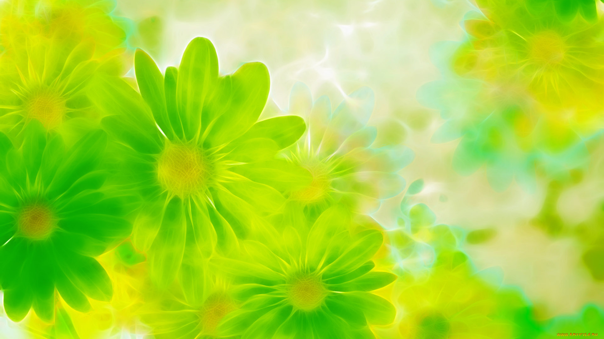 векторная, графика, цветы, зеленый