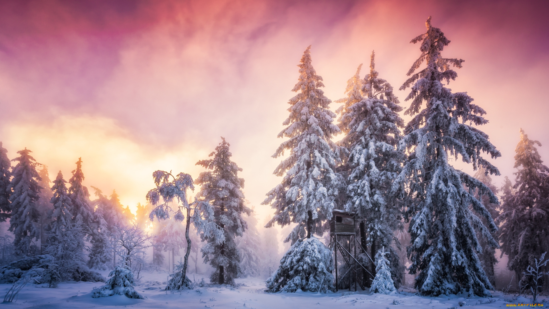 природа, зима, лес, снег