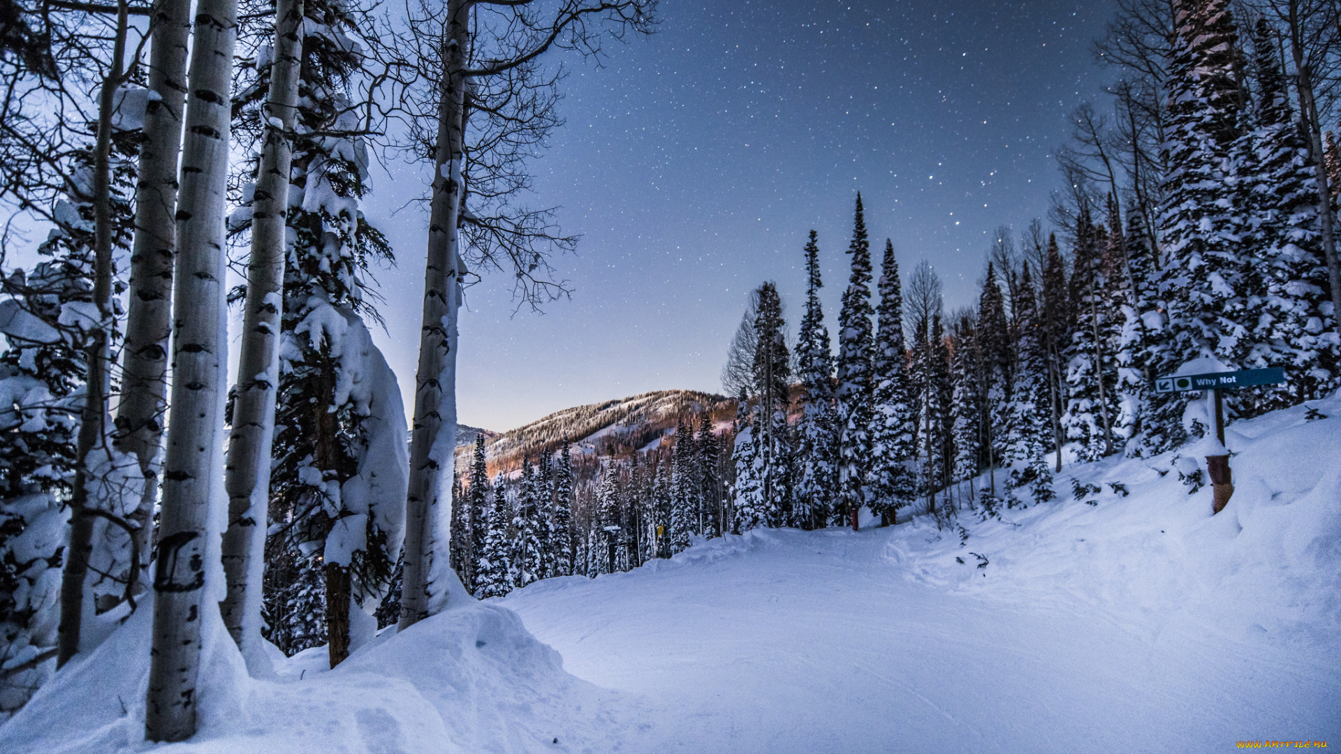 природа, зима, лес, сснег