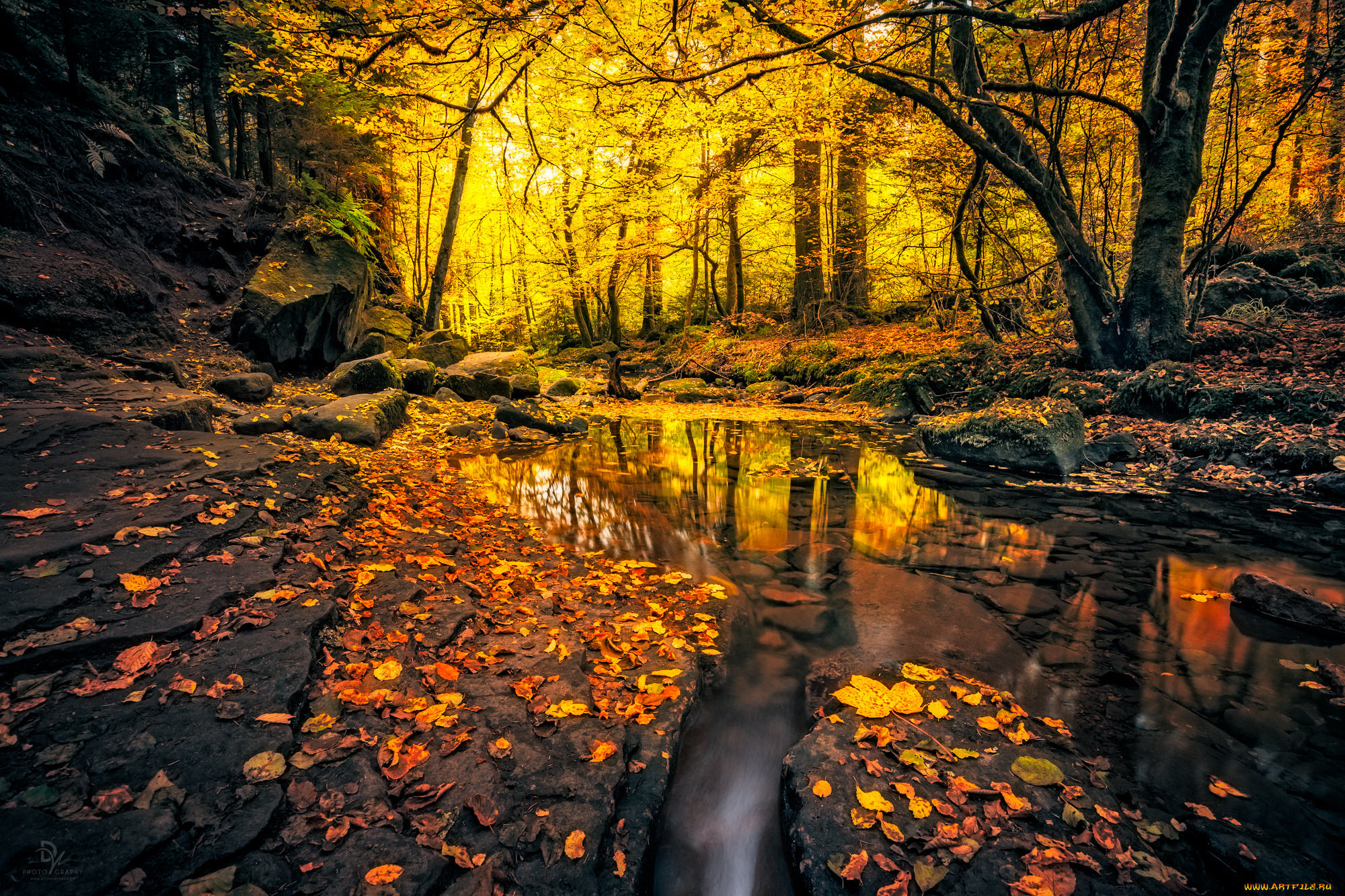 природа, реки, озера, лес, осень, река