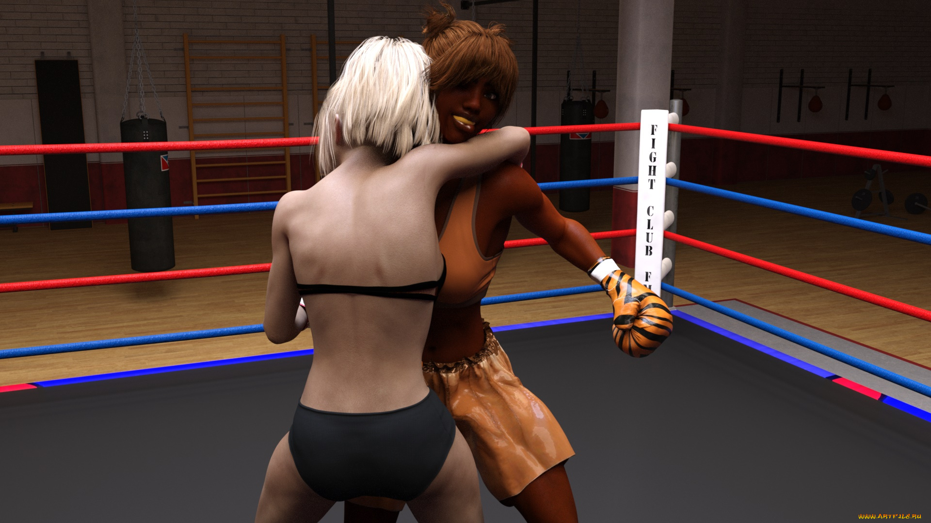3д, графика, спорт, , sport, бокс, ринг, фон, взгляд, девушки