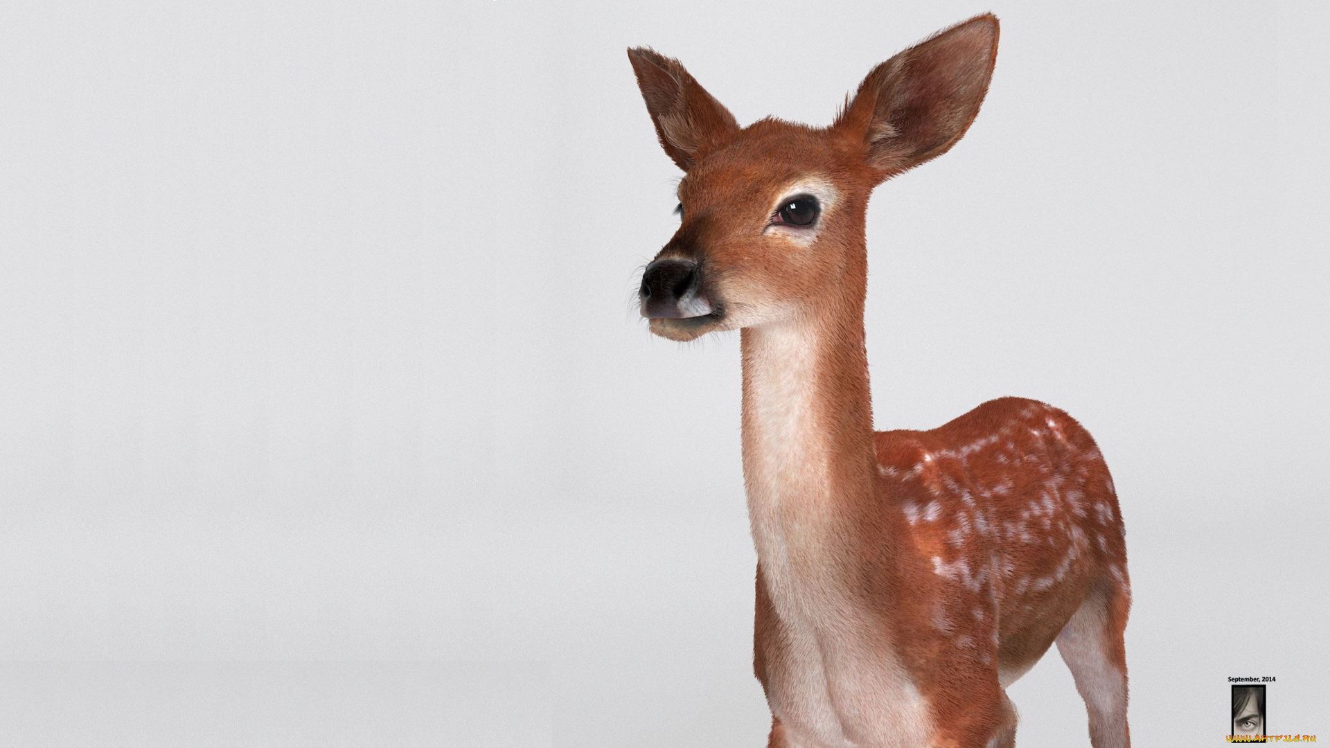 3д, графика, животные, , animals, олень