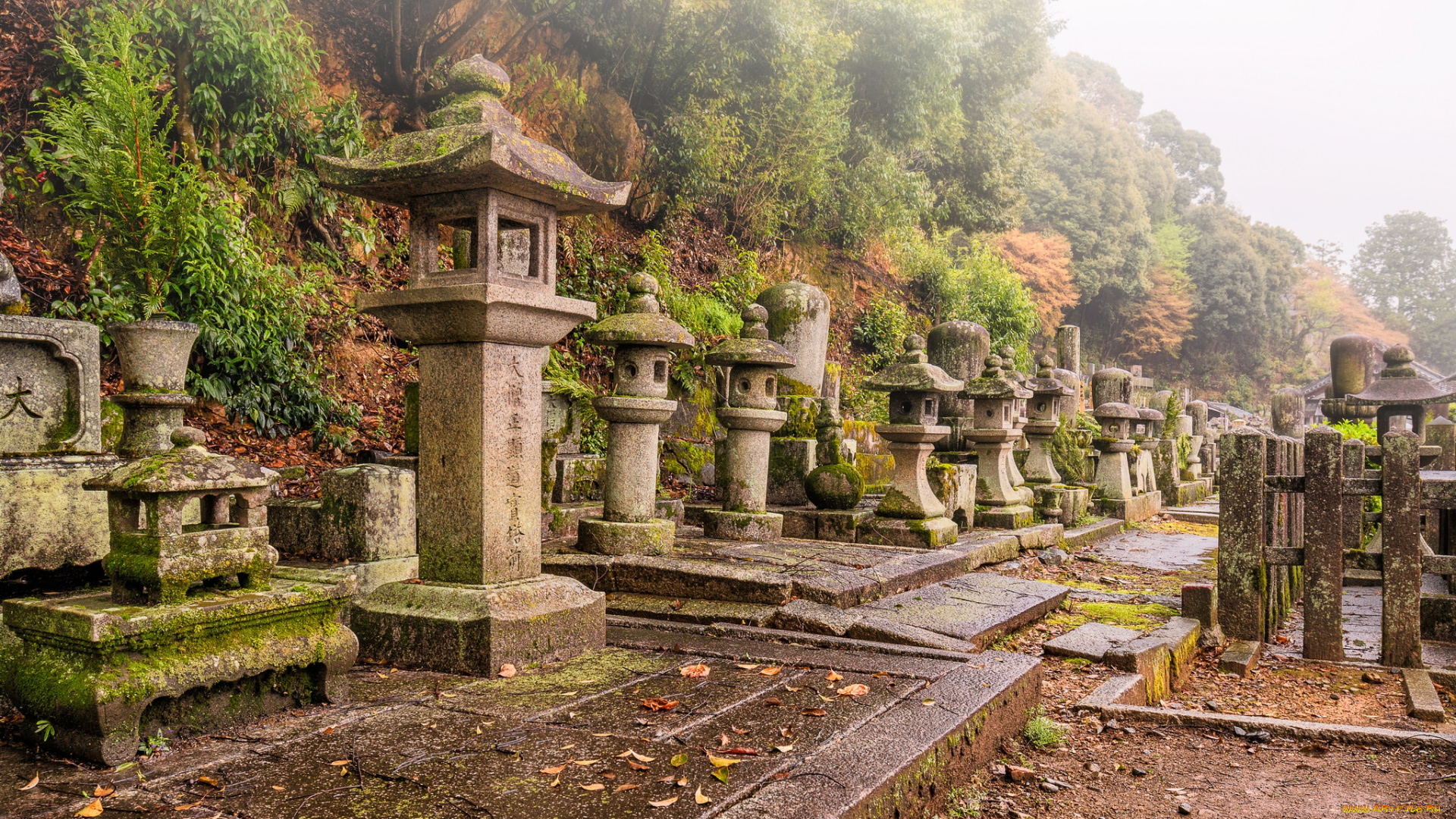 chion-in, temple, , kyoto, города, киото, , Япония, простор