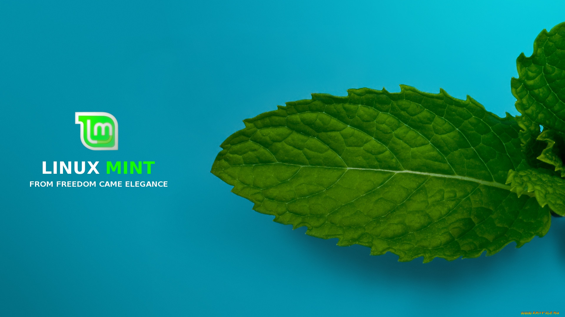 компьютеры, linux, фон, логотип