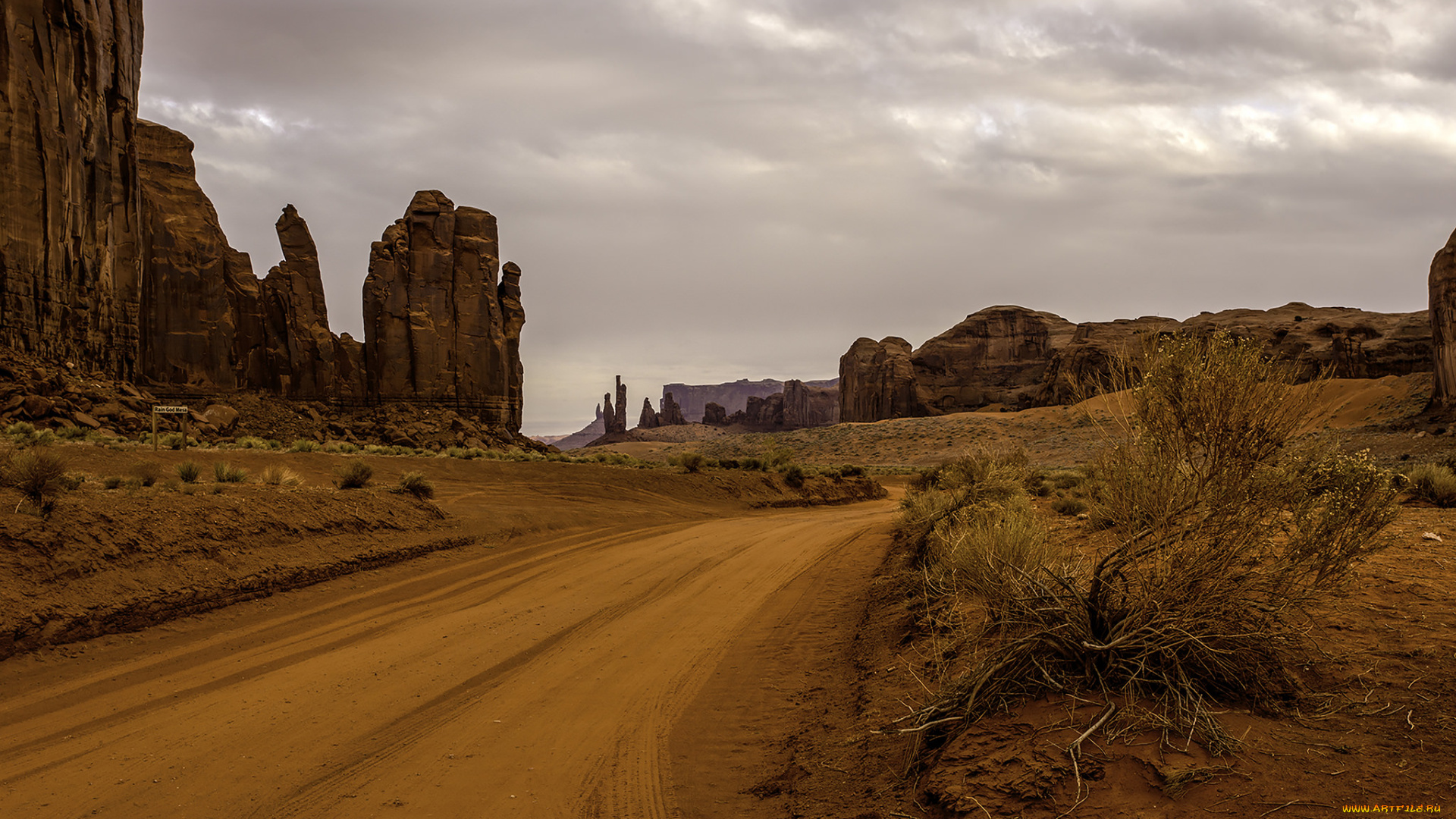 природа, дороги, простор