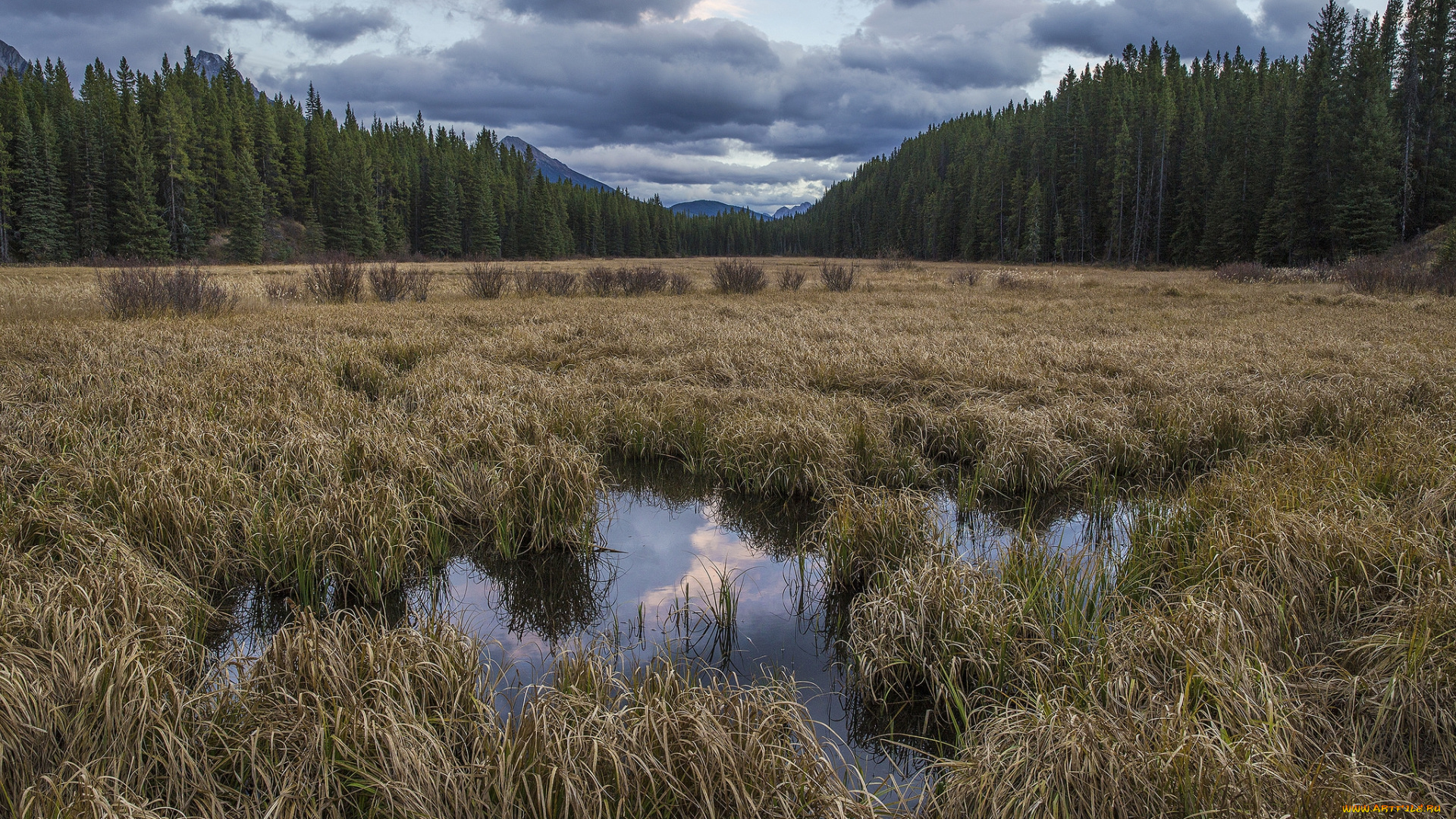 природа, пейзажи, простор