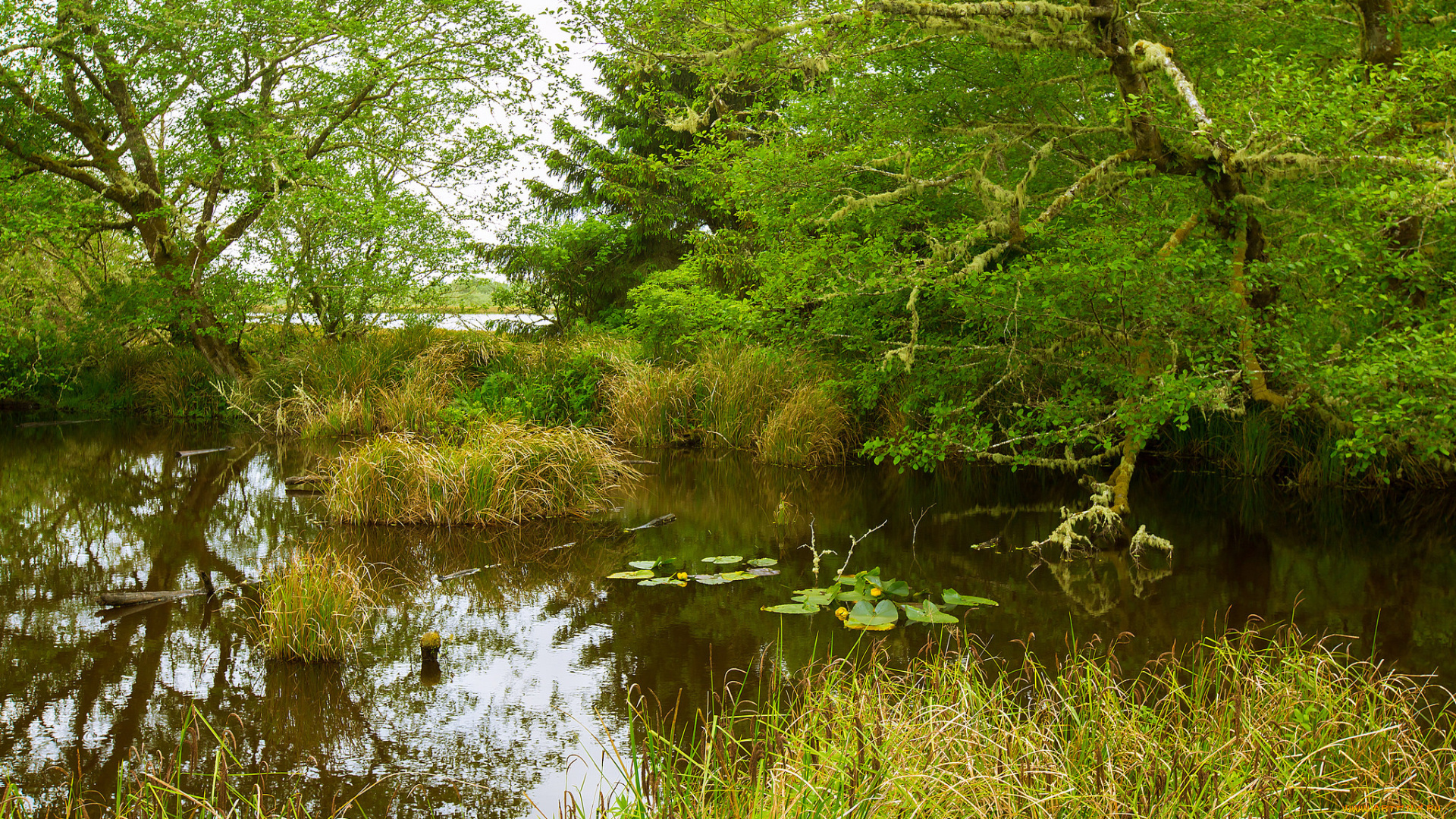 природа, реки, озера, простор