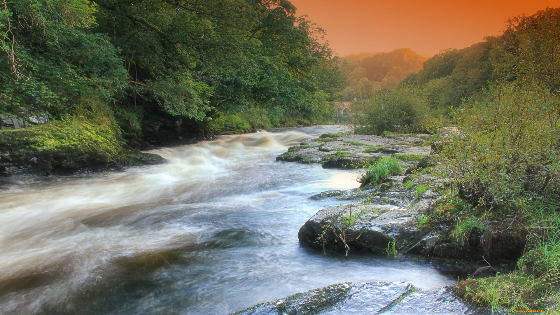 природа, реки, озера, простор