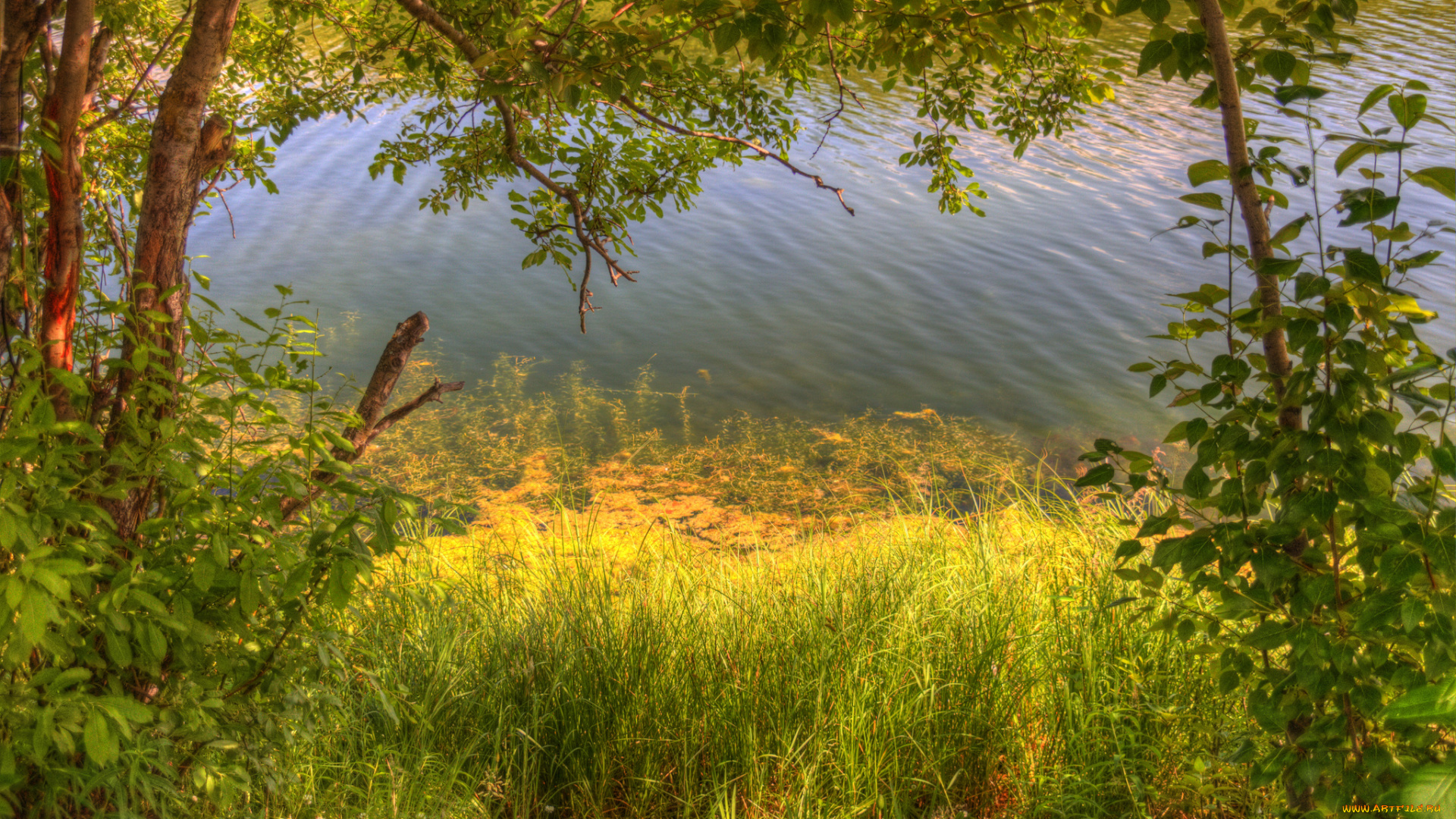 природа, реки, озера, простор