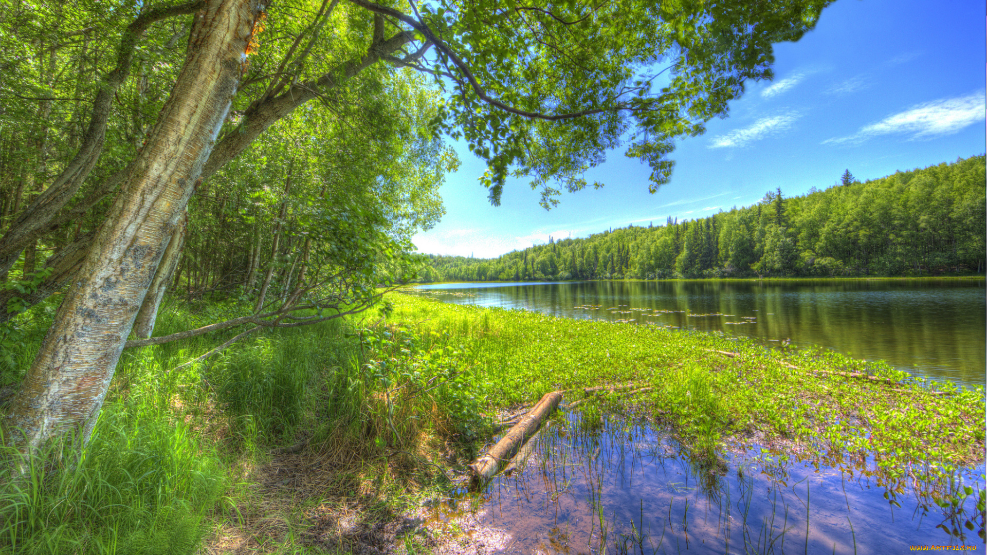 природа, реки, озера, простор