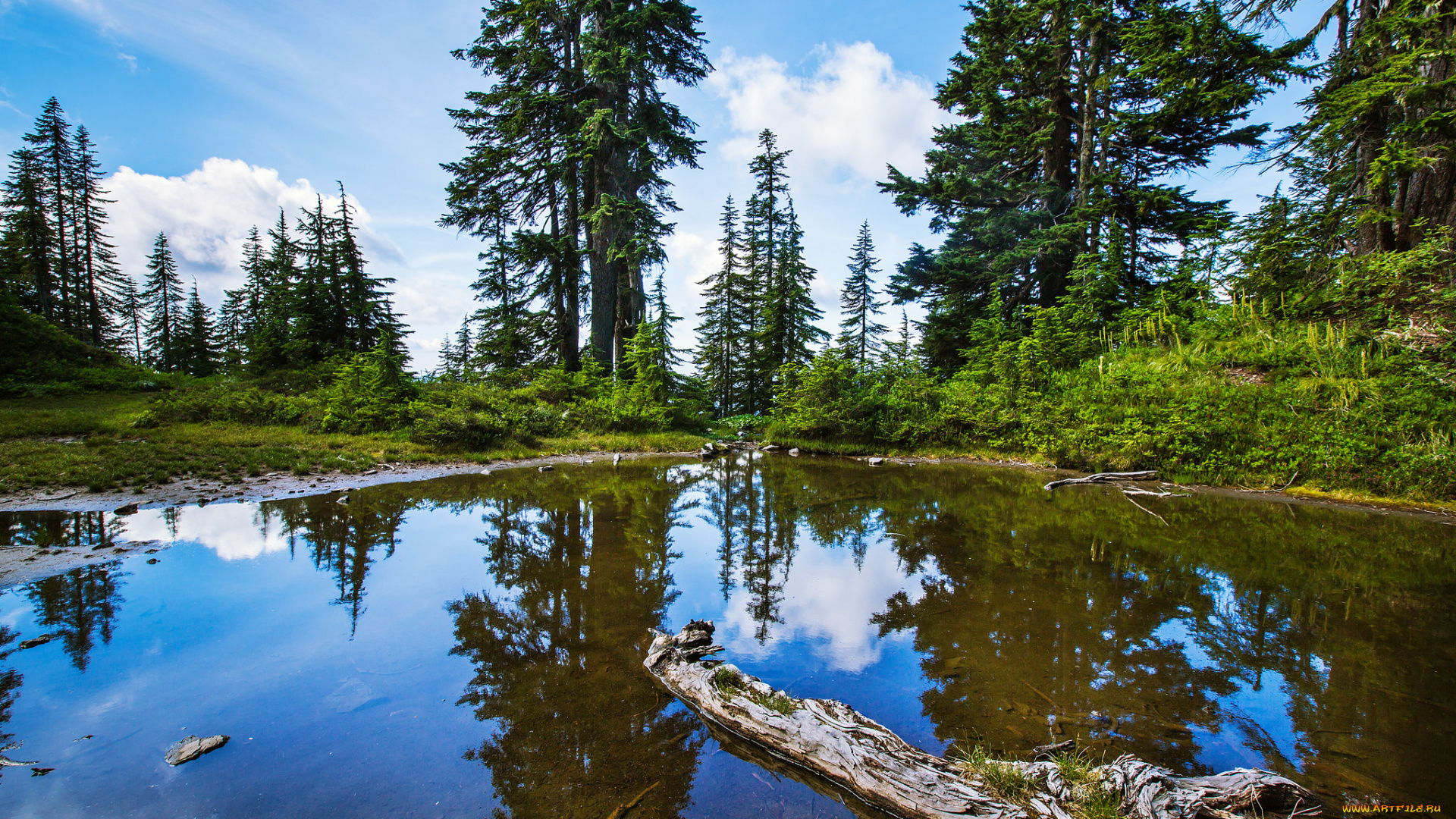 природа, реки, озера, простор