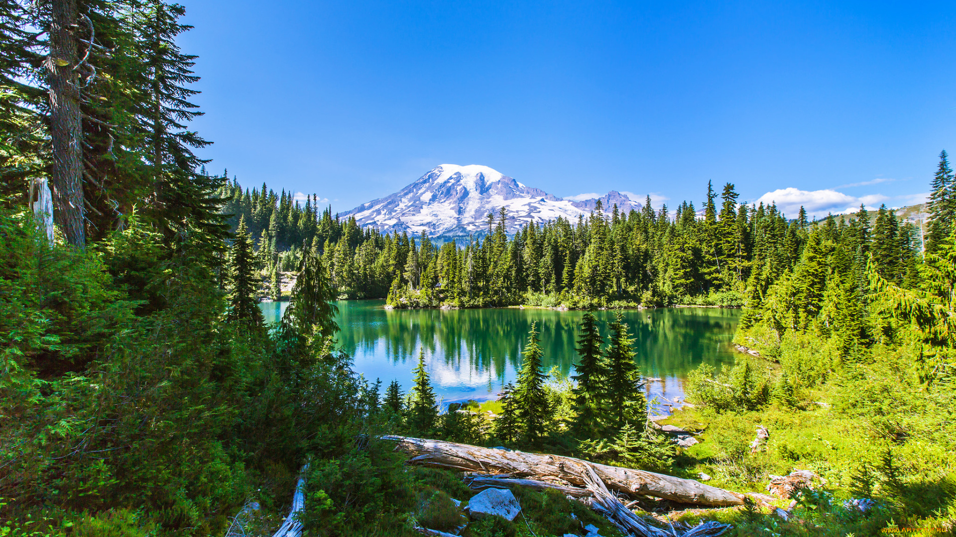 природа, реки, озера, простор