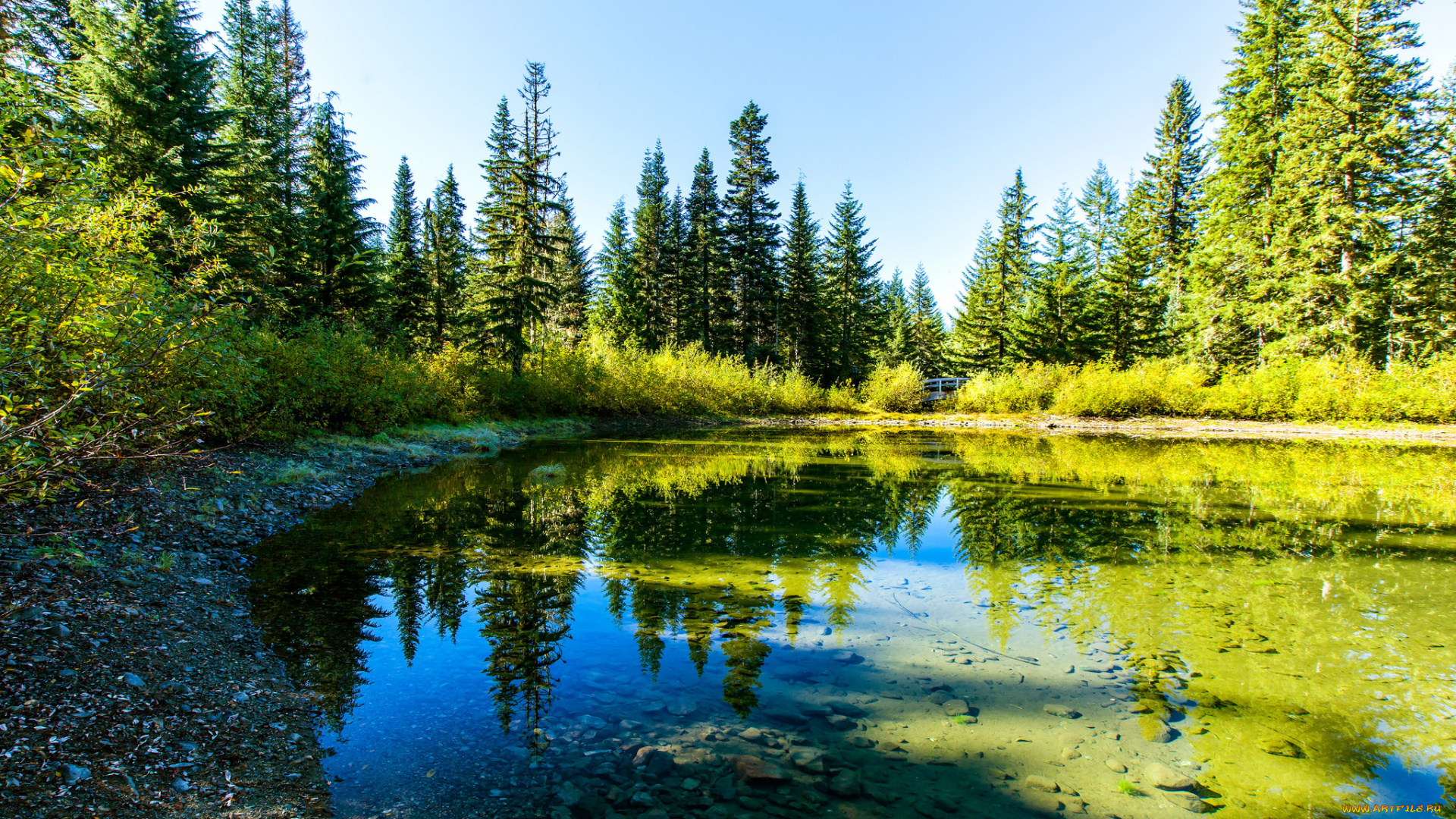 природа, реки, озера, простор