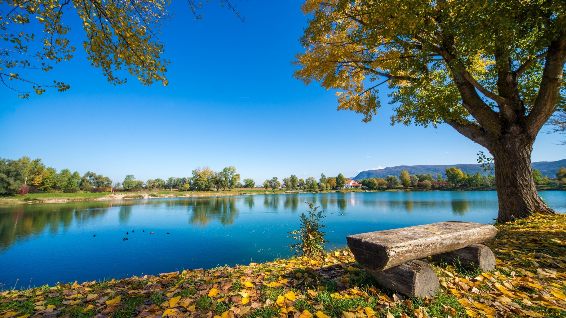 природа, реки, озера, простор