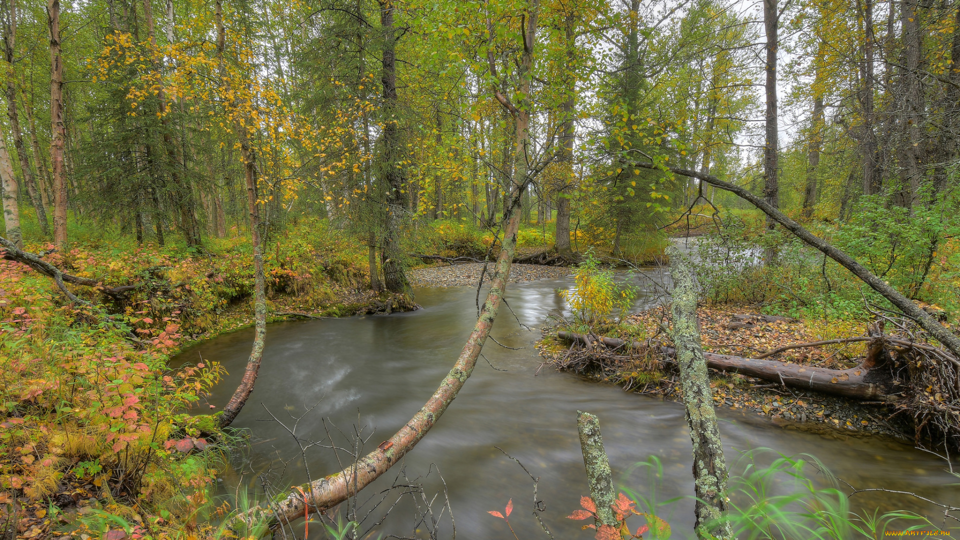 природа, реки, озера, простор