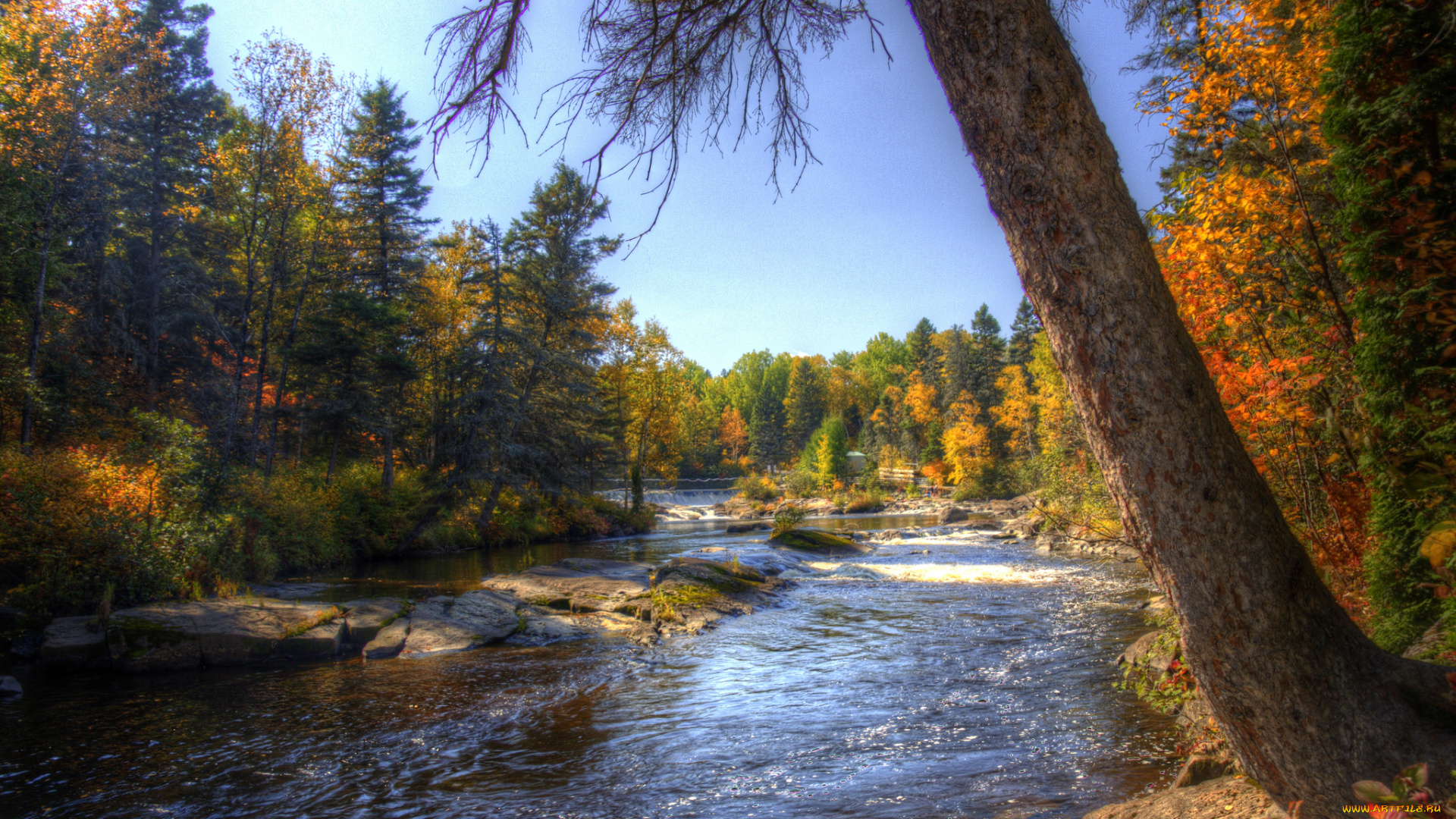 природа, реки, озера, простор