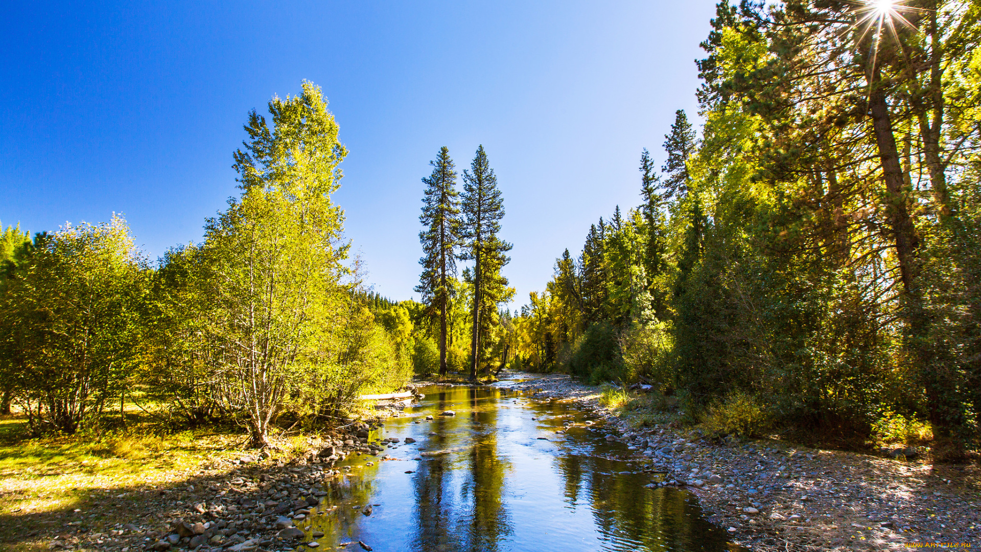 природа, реки, озера, простор