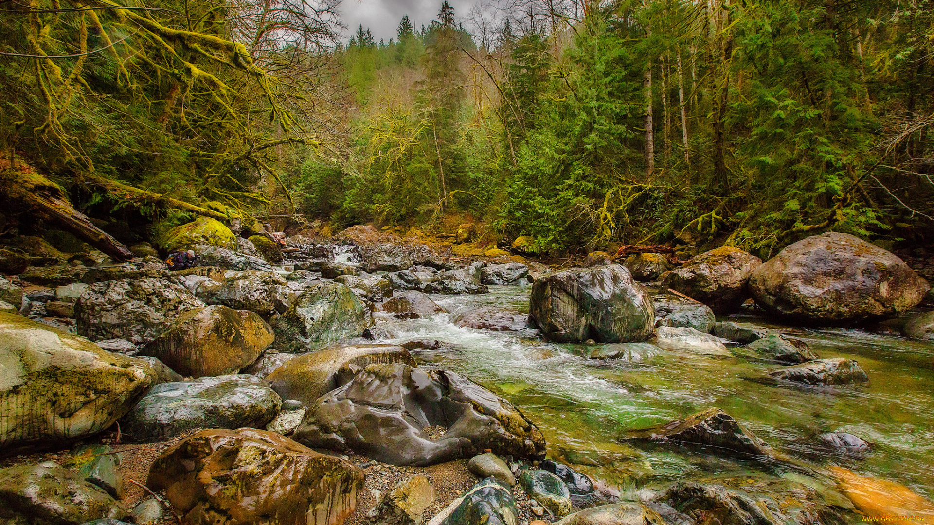 природа, реки, озера, простор