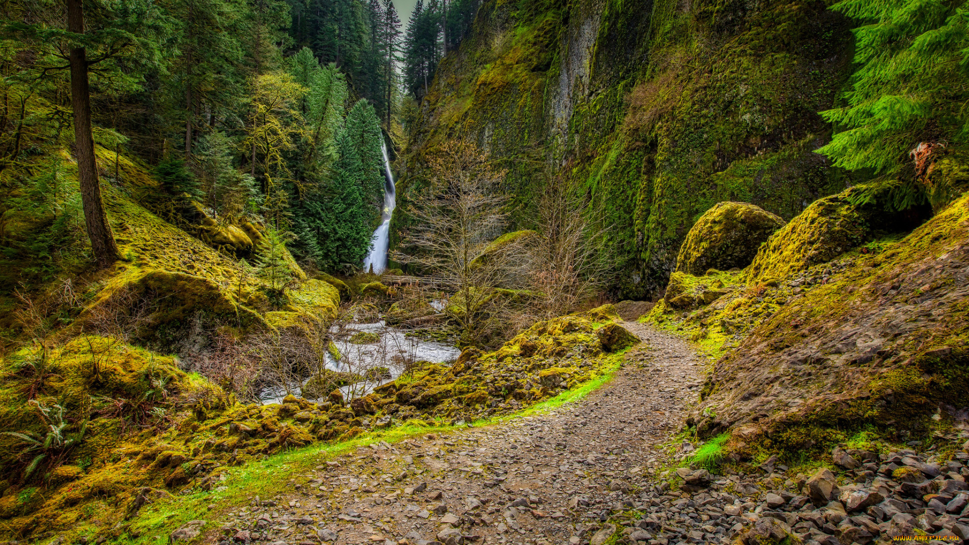 природа, водопады, простор
