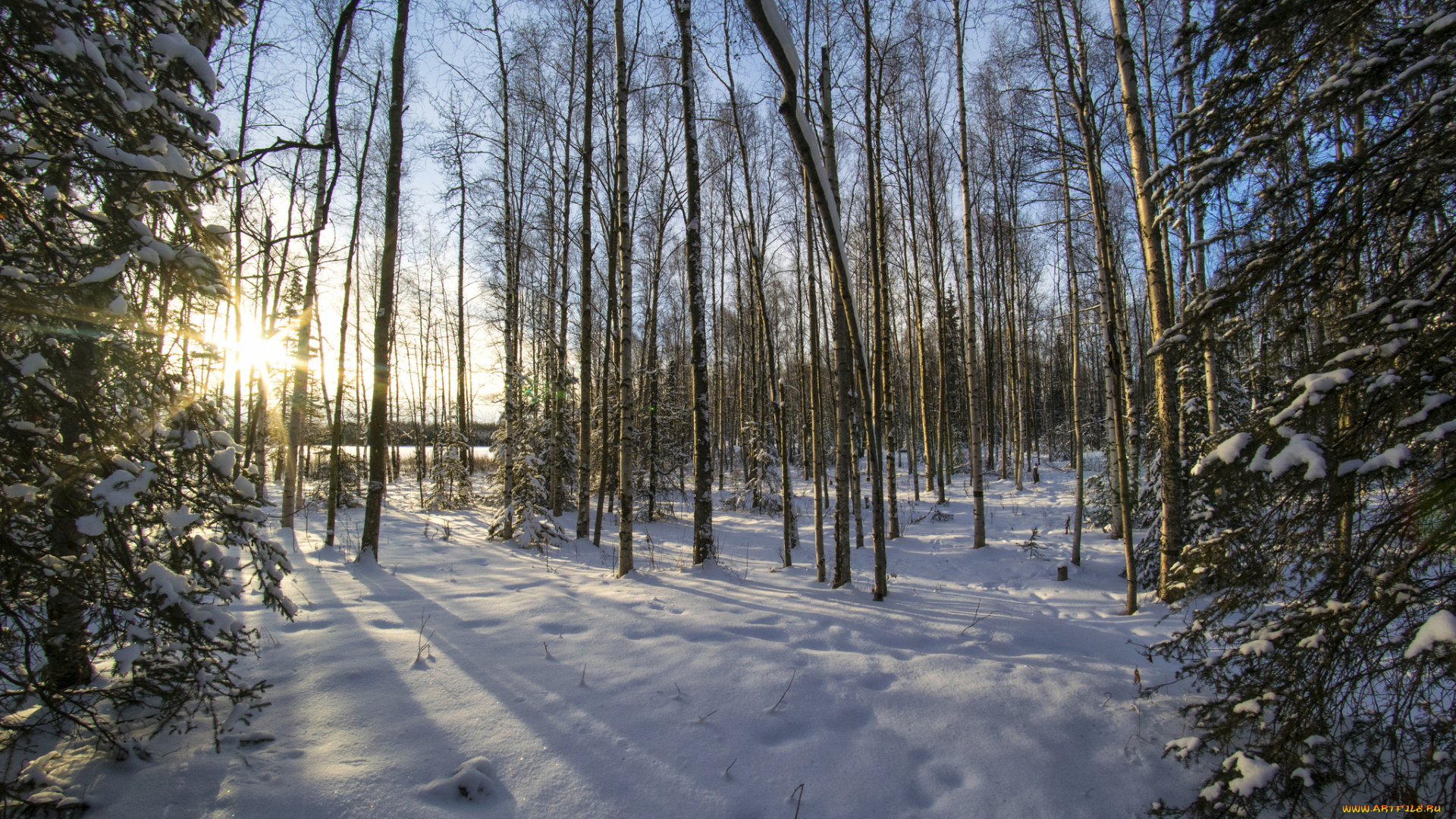 природа, зима, простор