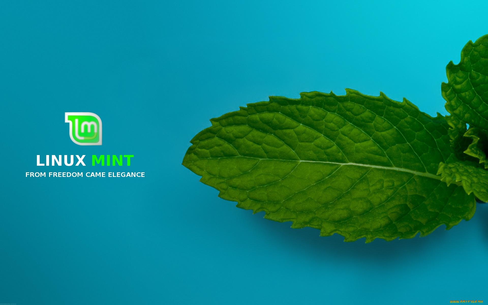 компьютеры, linux, фон, логотип