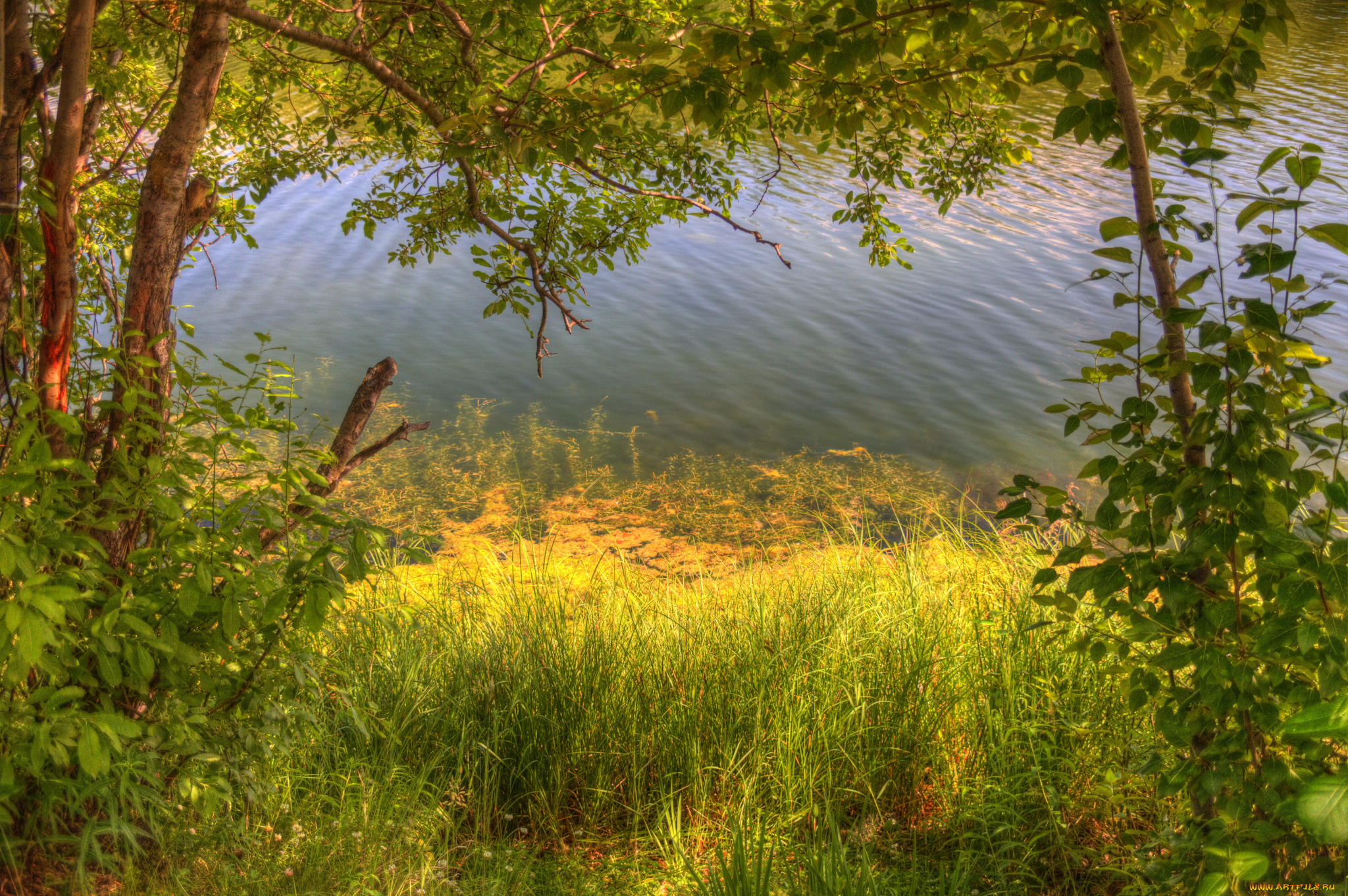 природа, реки, озера, простор