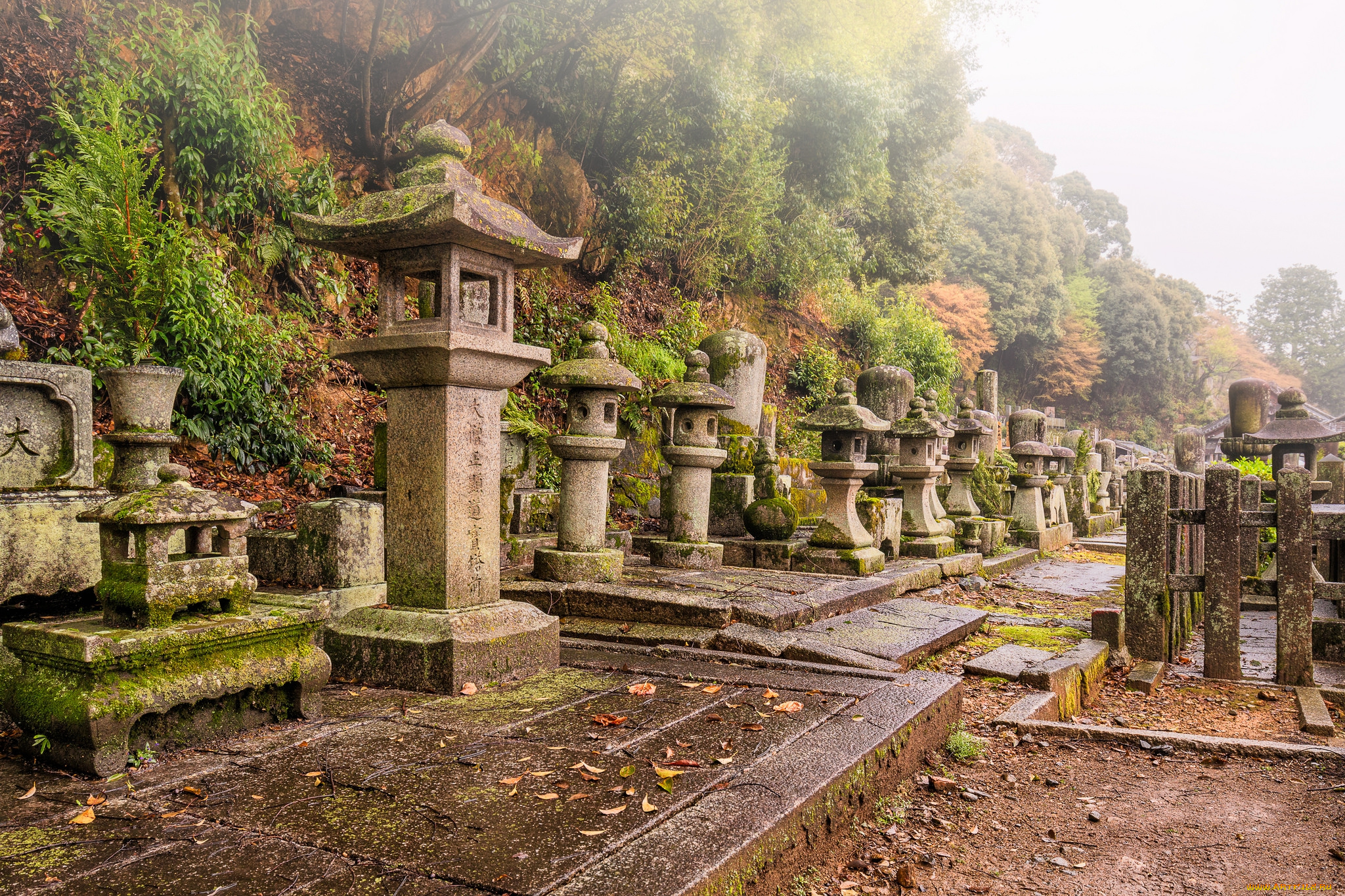 chion-in, temple, , kyoto, города, киото, , Япония, простор