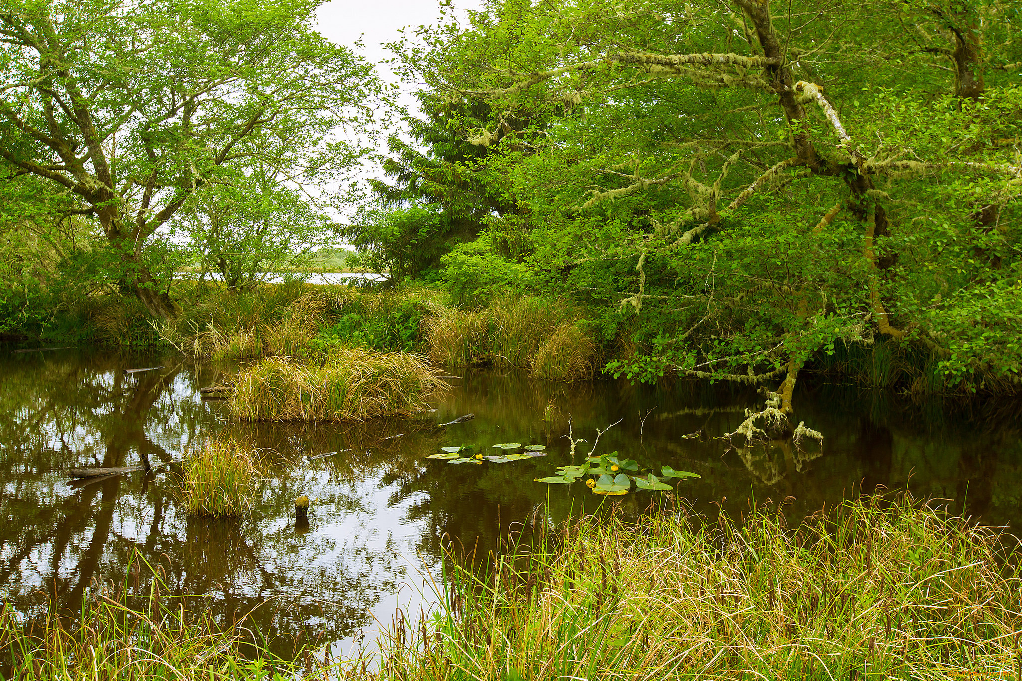 природа, реки, озера, простор