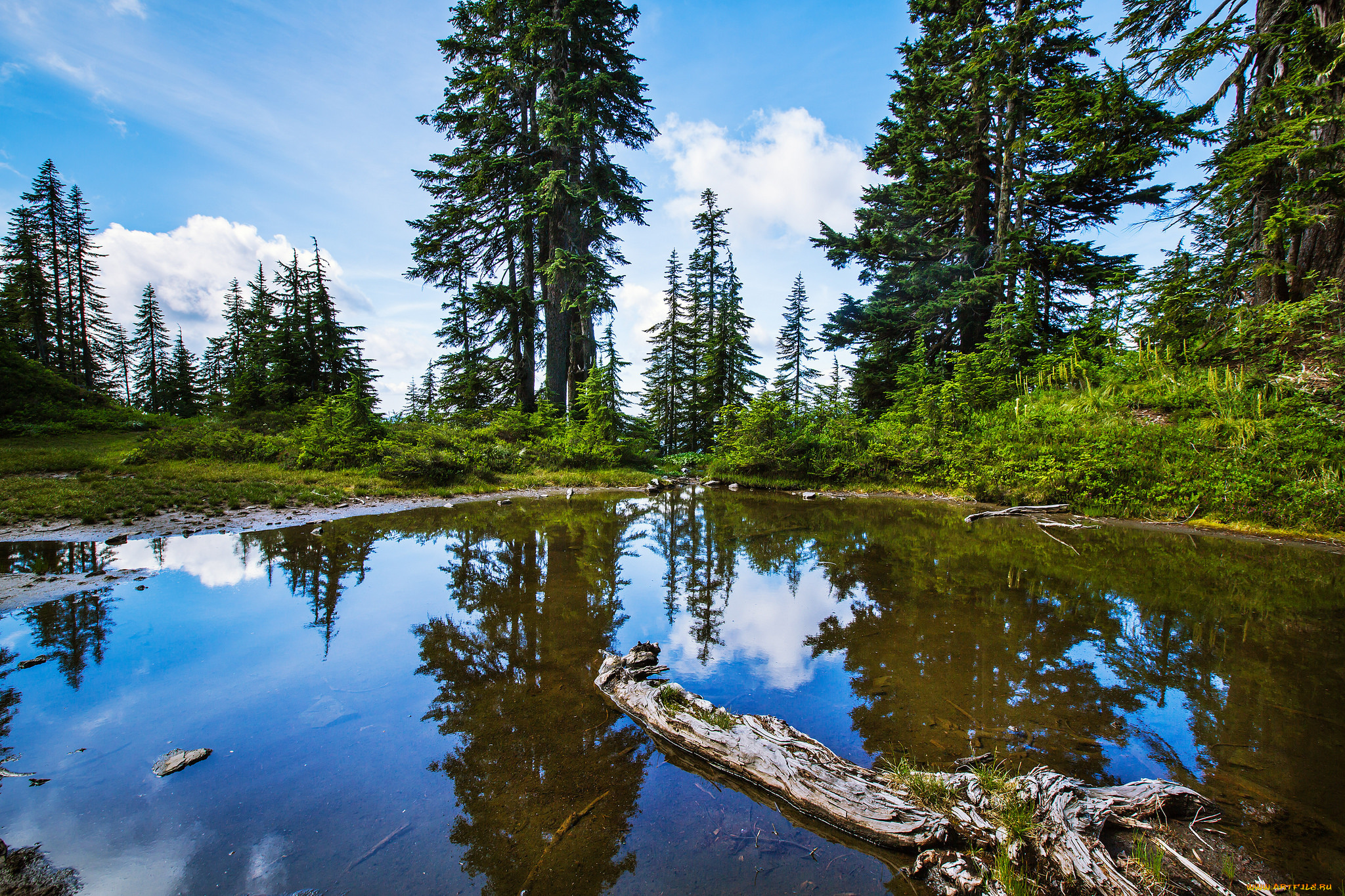 природа, реки, озера, простор