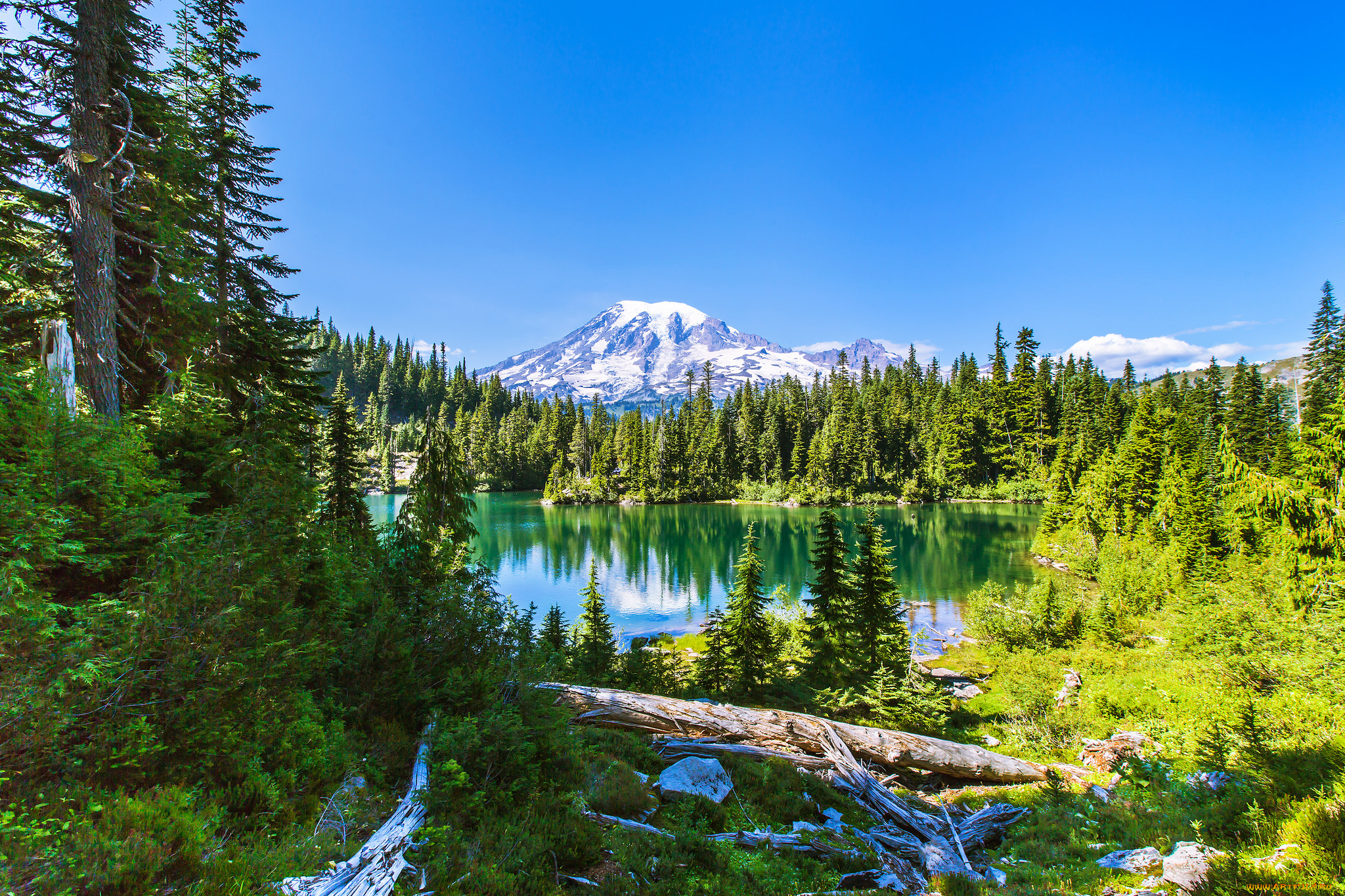 природа, реки, озера, простор