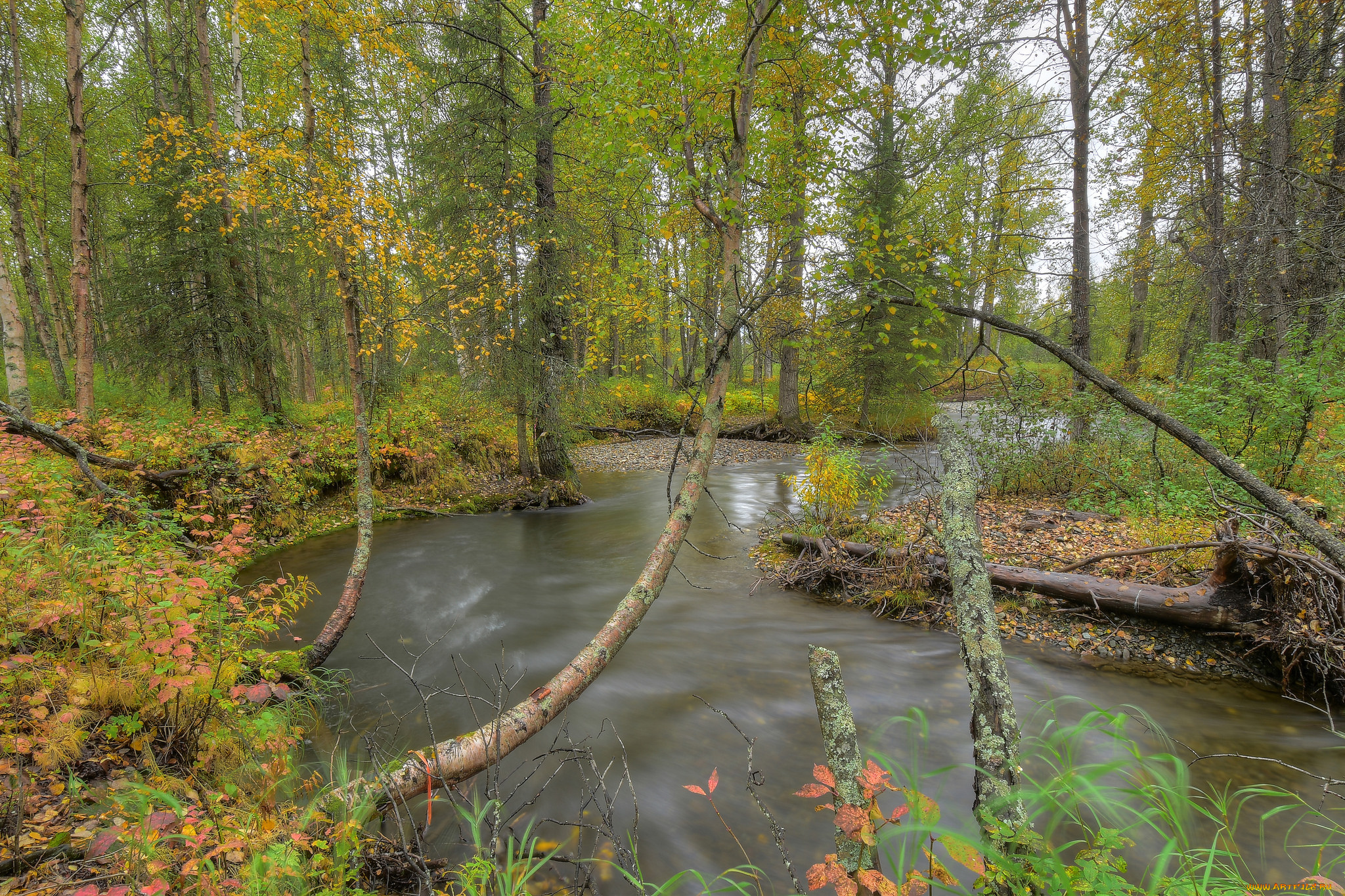 природа, реки, озера, простор