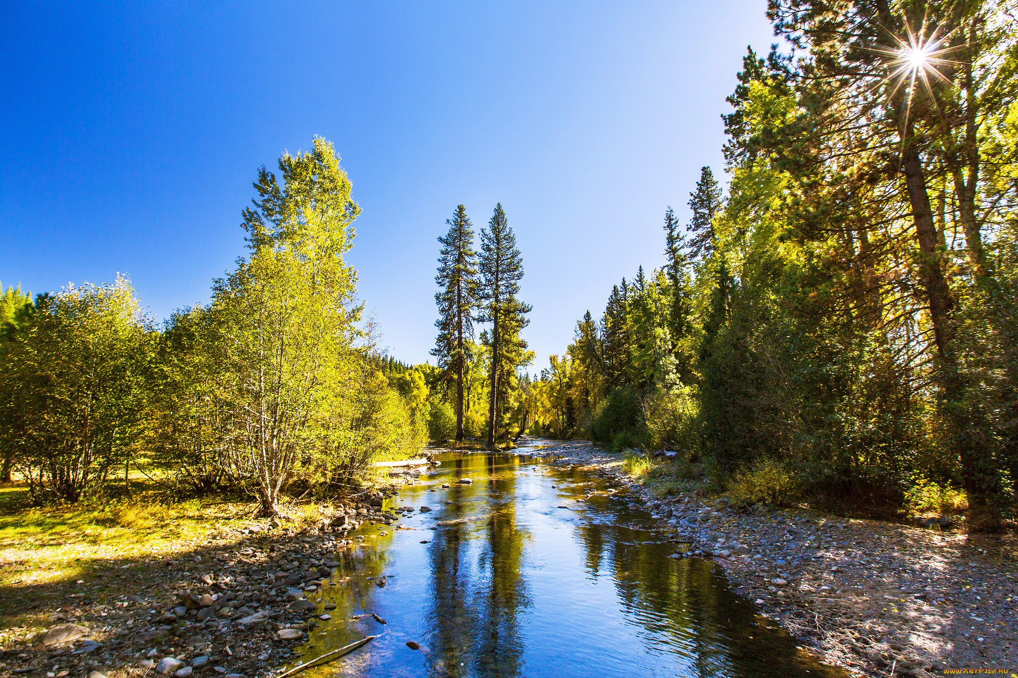 природа, реки, озера, простор