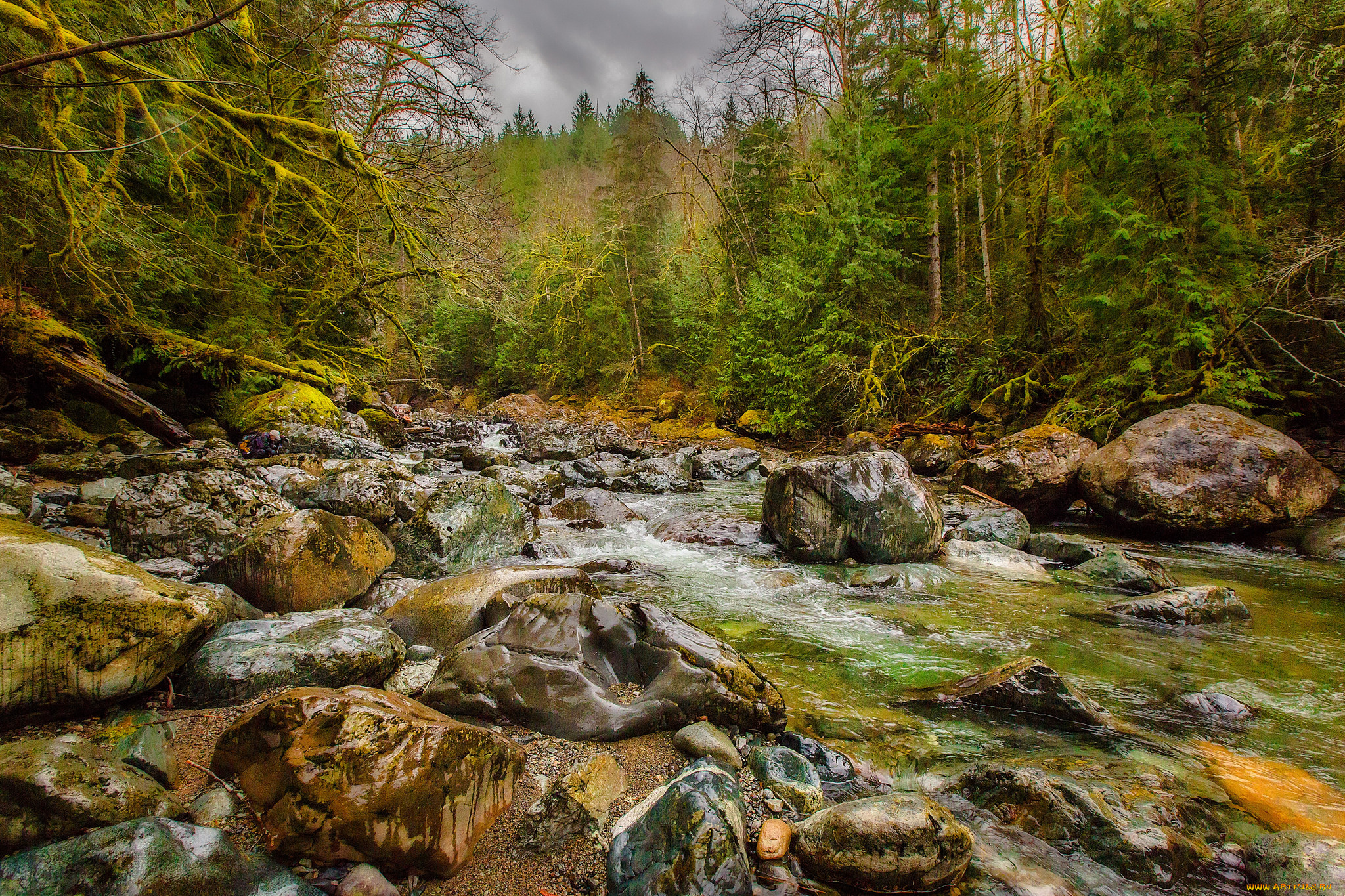 природа, реки, озера, простор