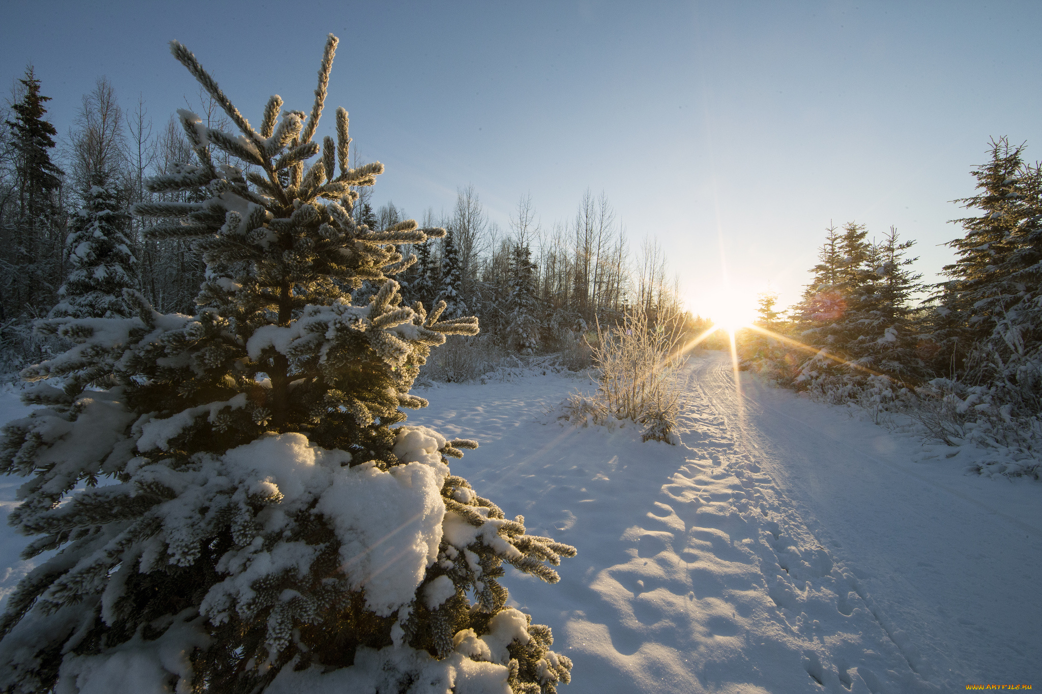 природа, зима, простор