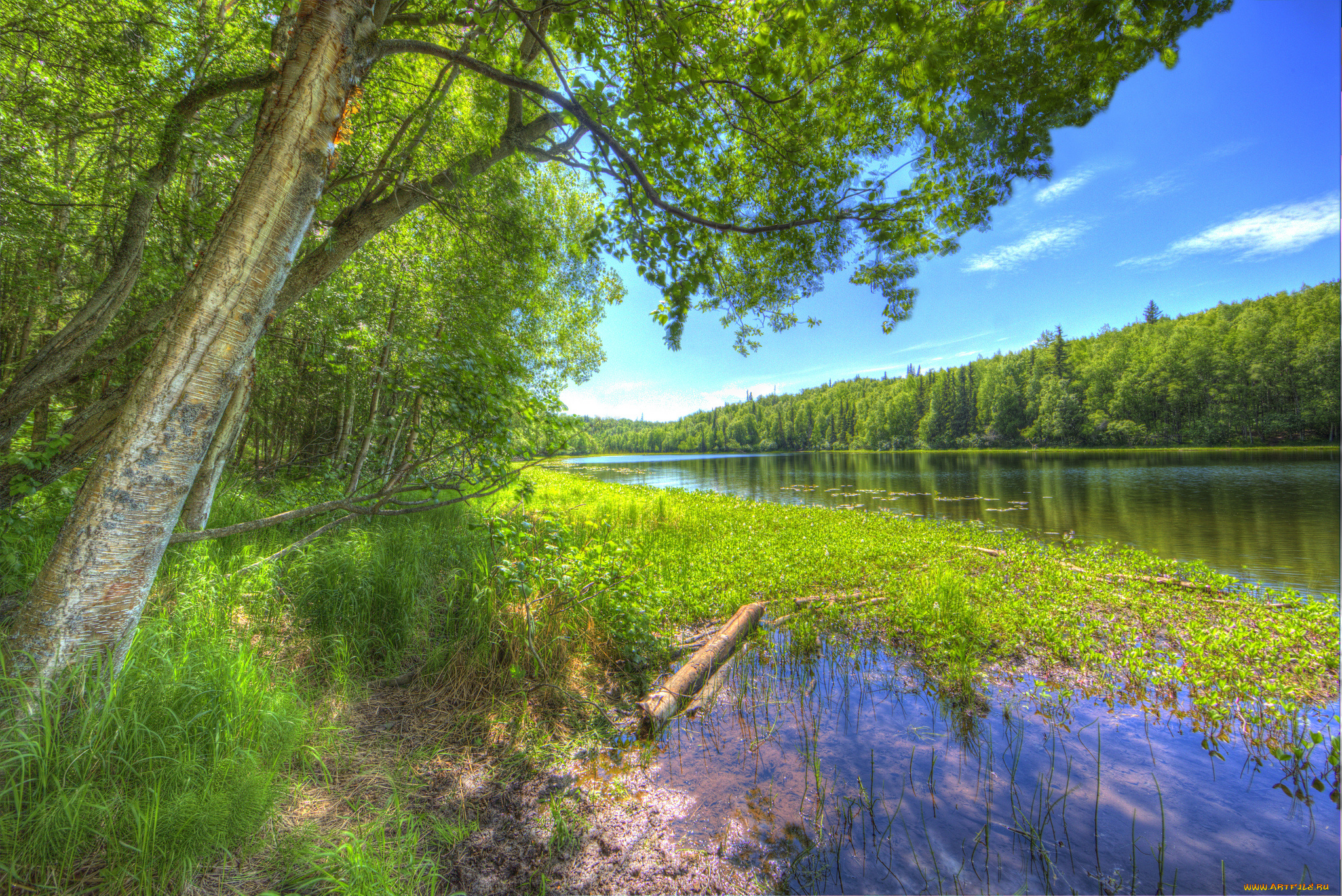 природа, реки, озера, простор