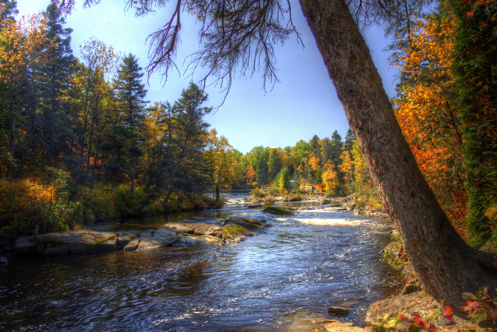 природа, реки, озера, простор