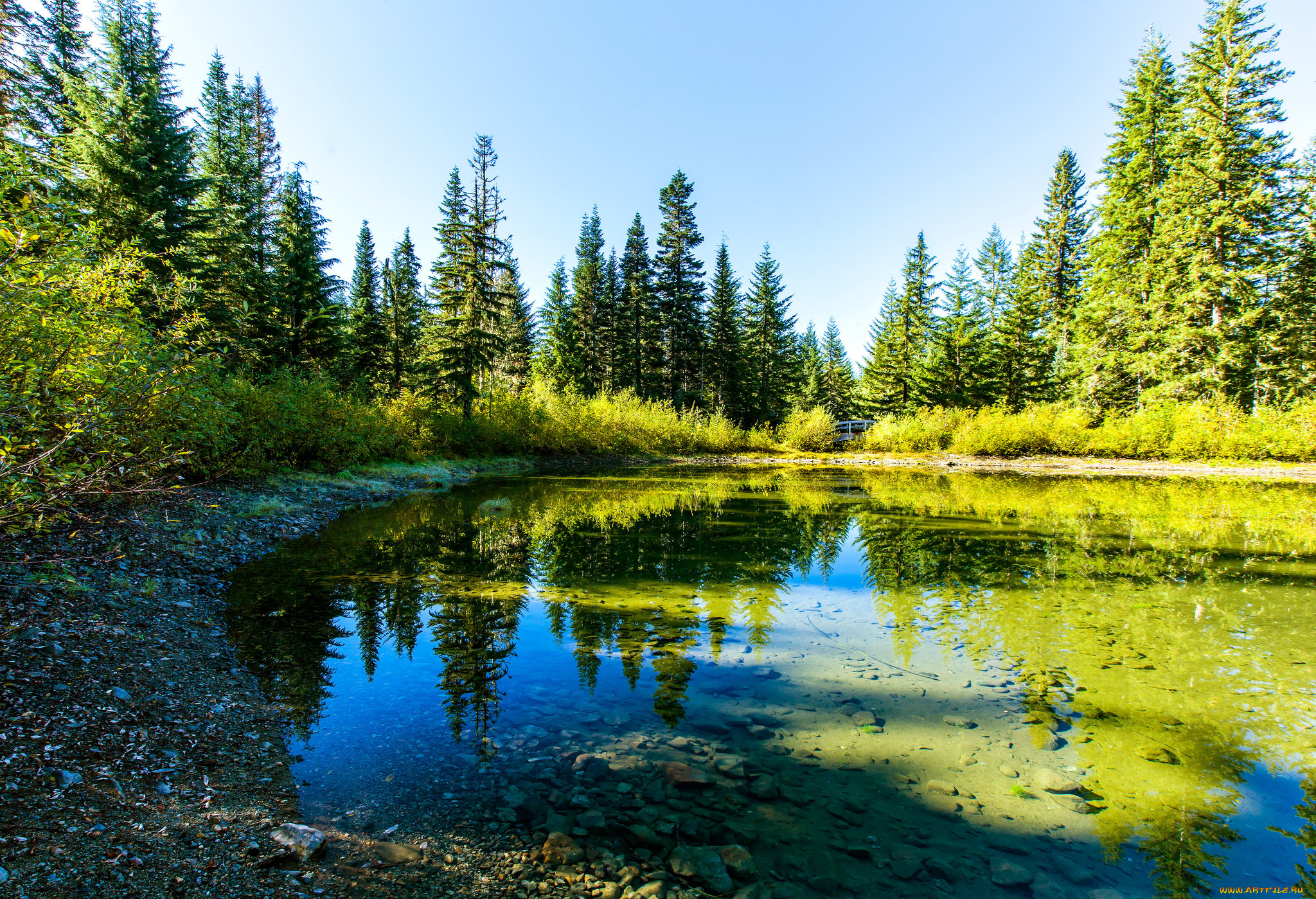 природа, реки, озера, простор