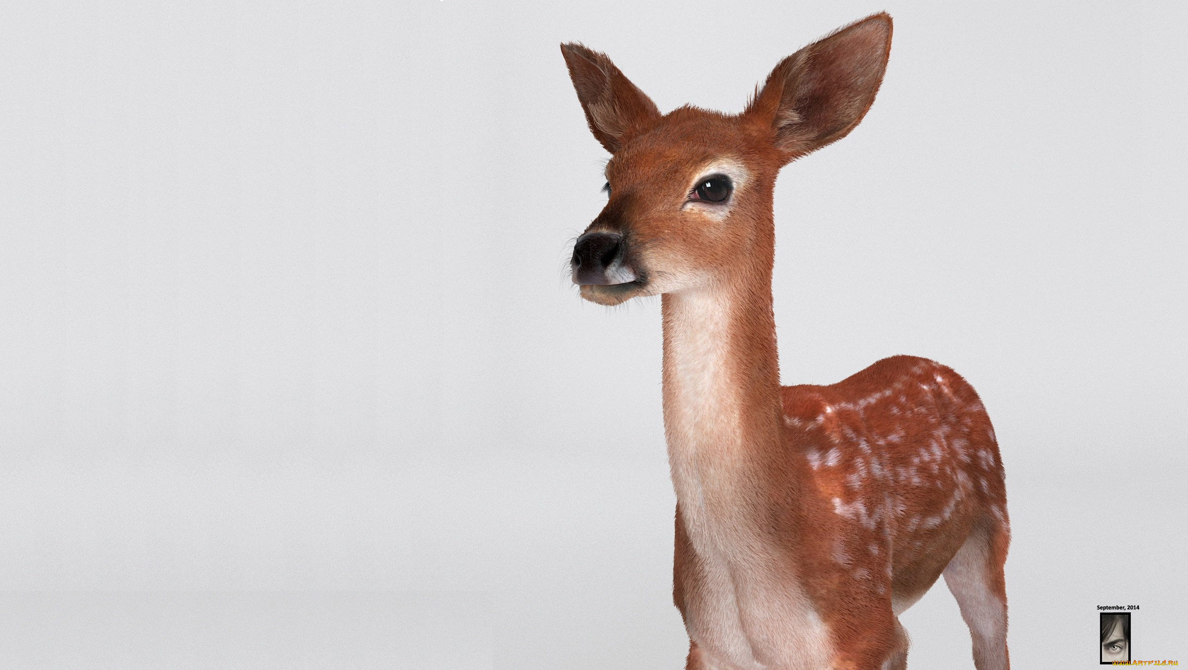 3д, графика, животные, , animals, олень