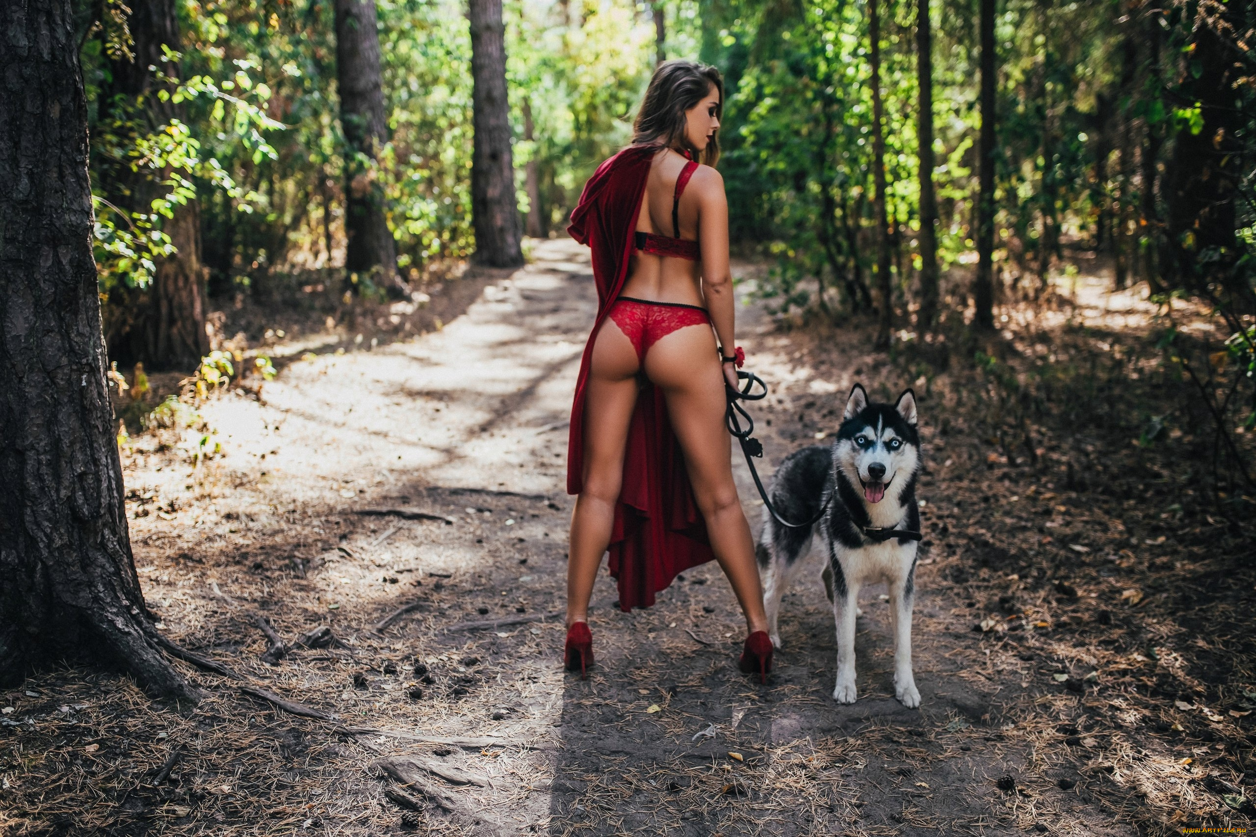 девушки, -unsort, , брюнетки, темноволосые, собака, лес, белье, попка