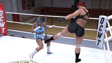 Картинка 3д+графика спорт+ sport девушки взгляд фон борьба