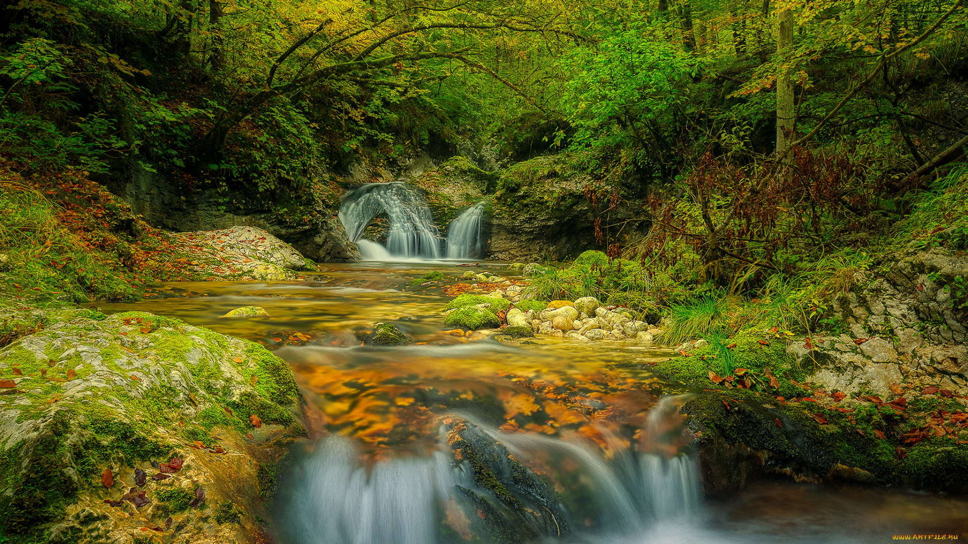 природа, реки, озера, простор