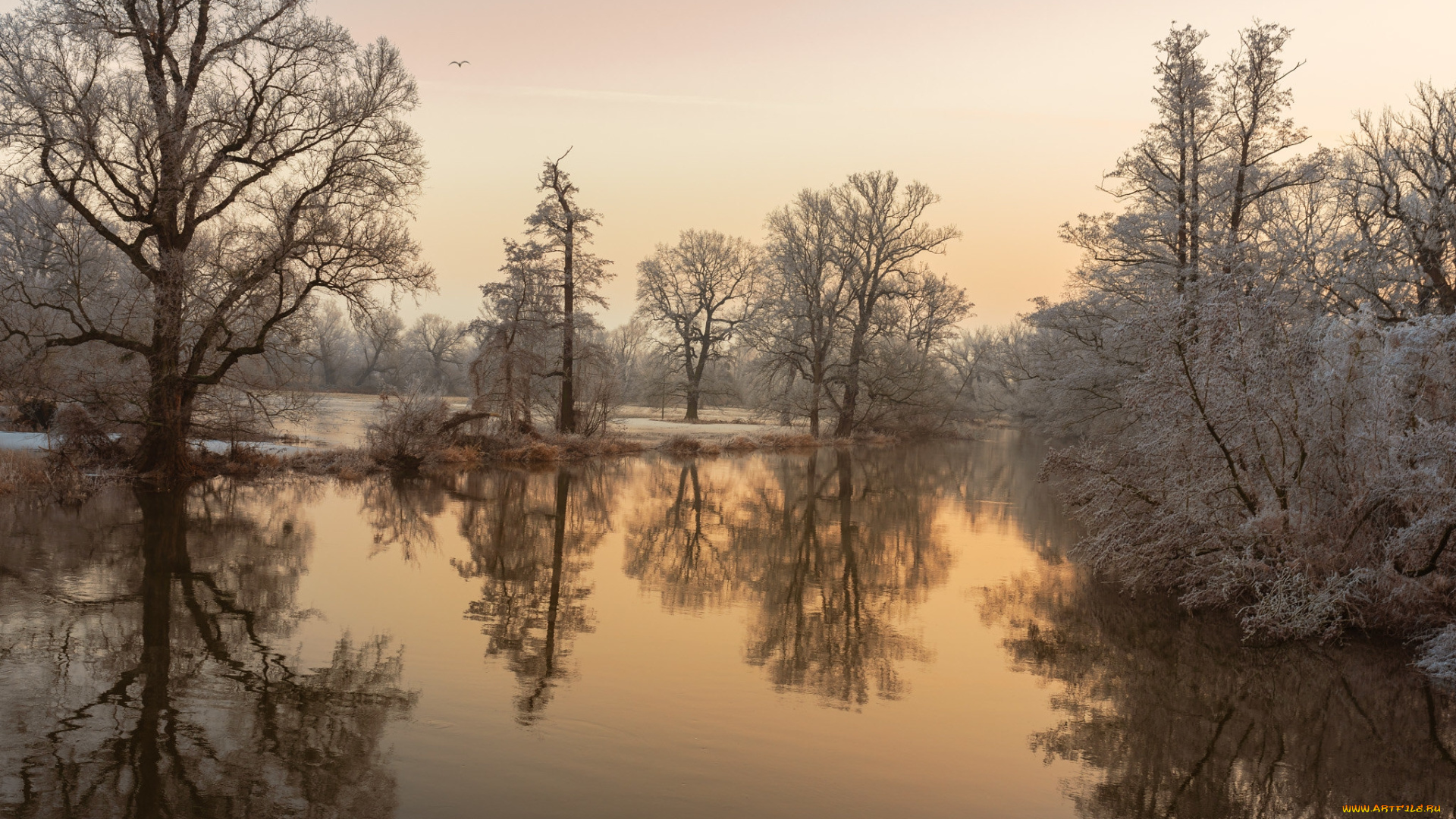 природа, реки, озера, простор