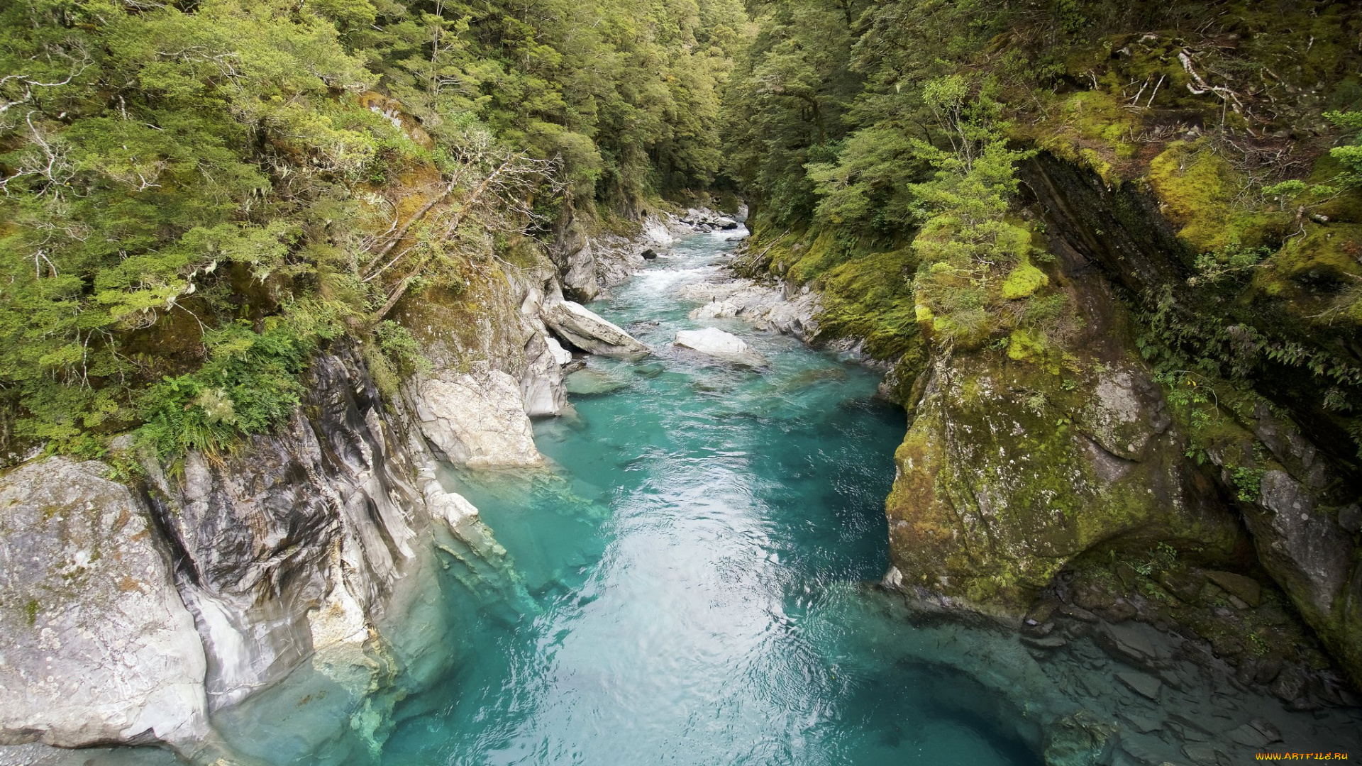 природа, реки, озера, простор